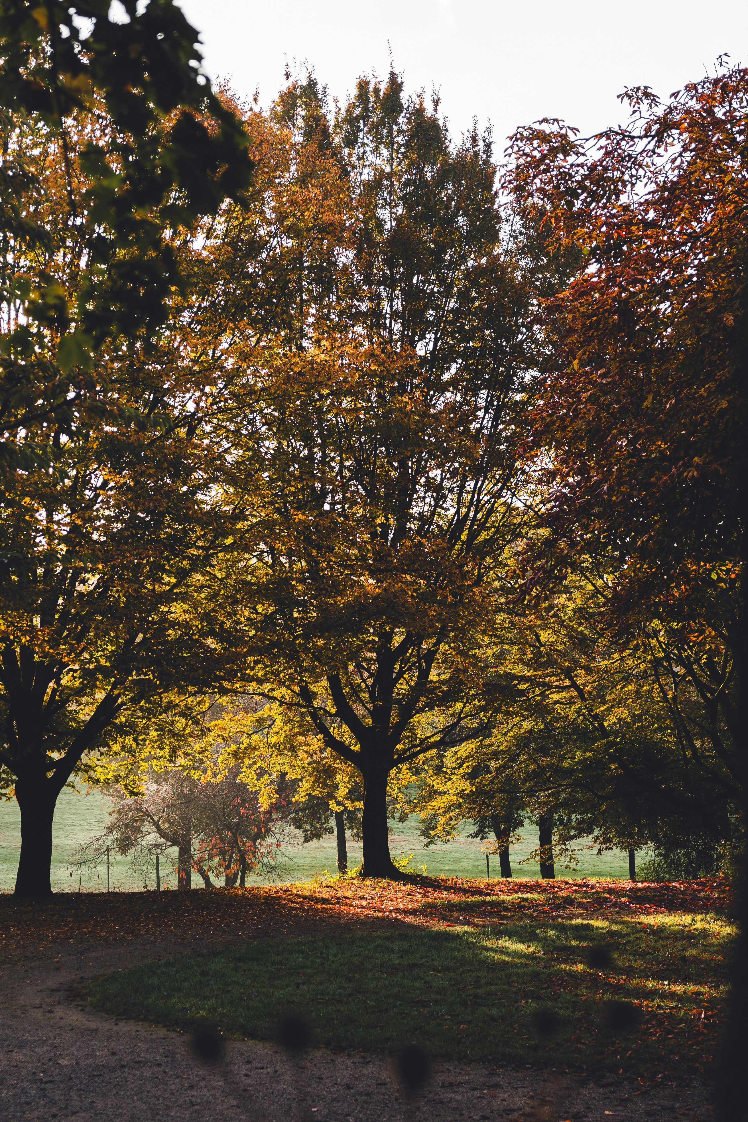 Photo by dermanuskript