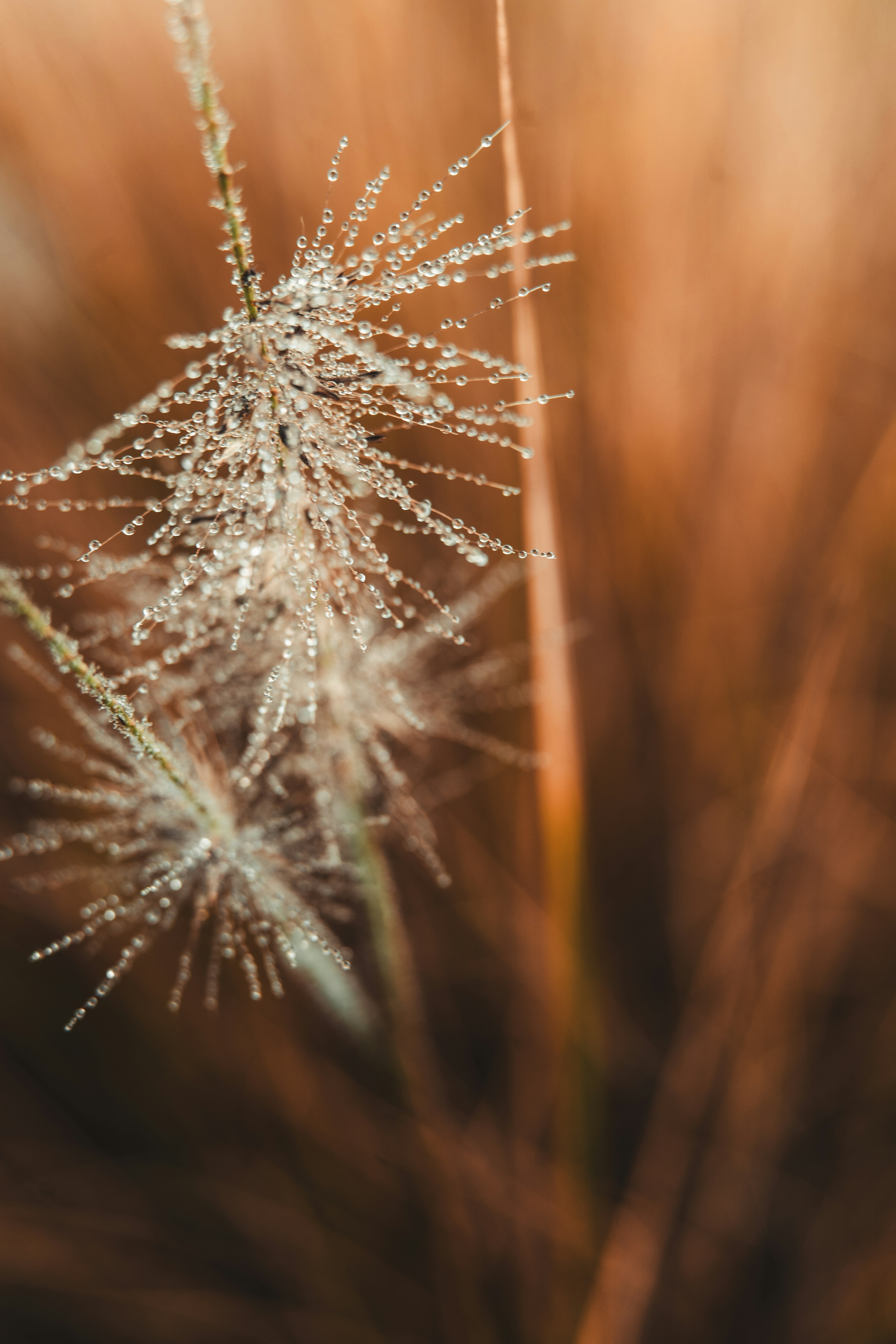 Photo by dermanuskript