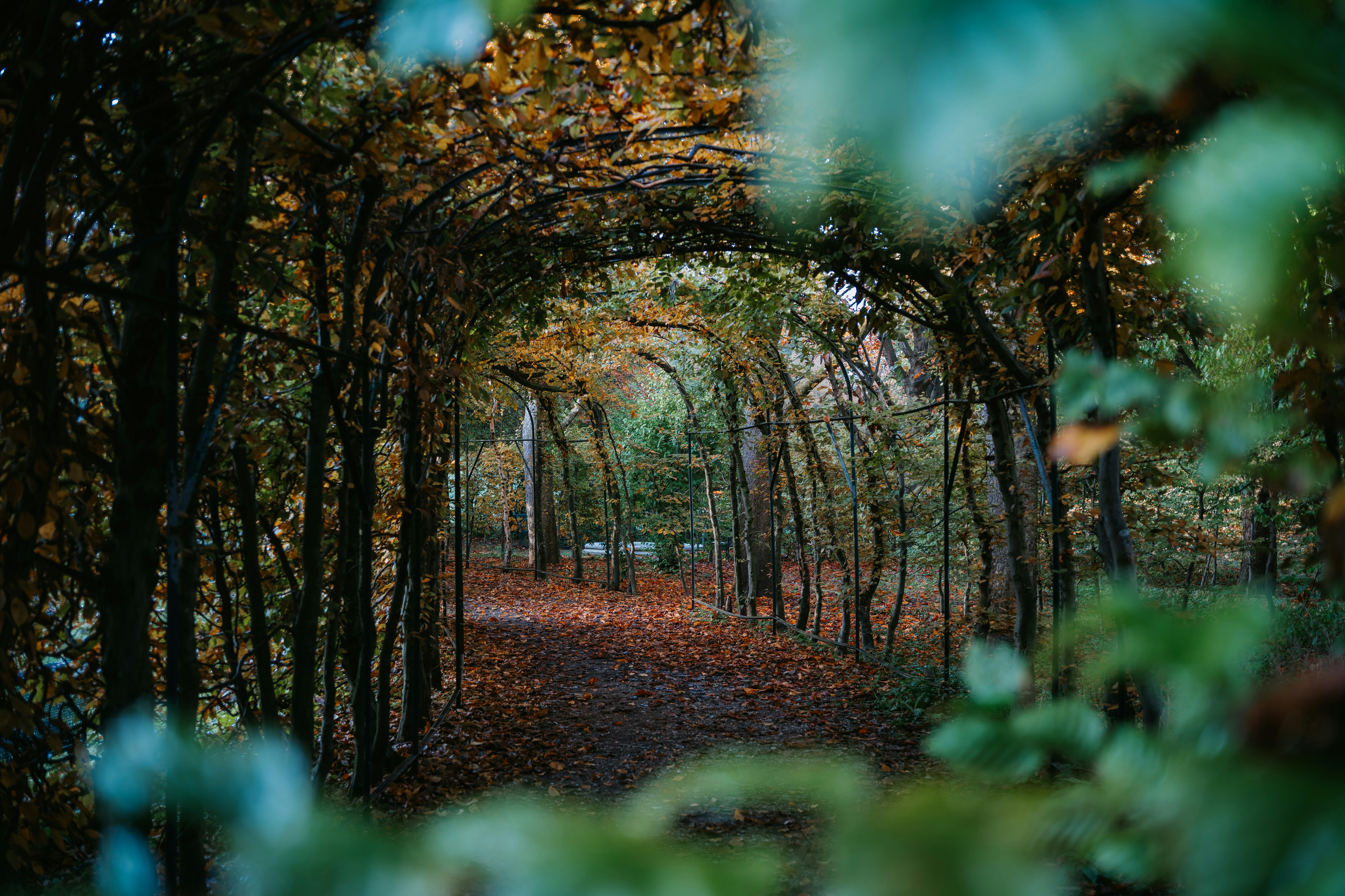 Photo by dermanuskript