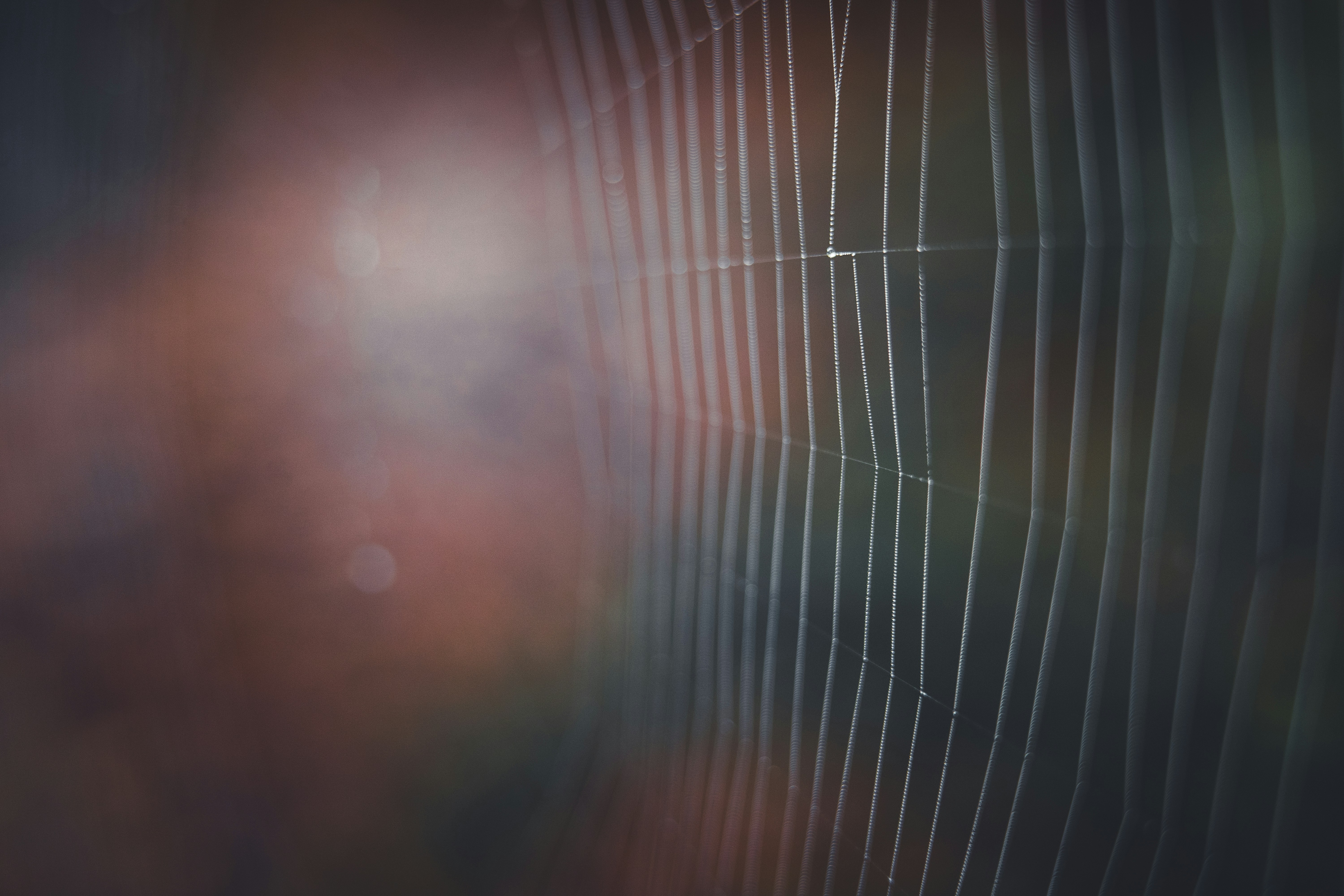 Photo by dermanuskript