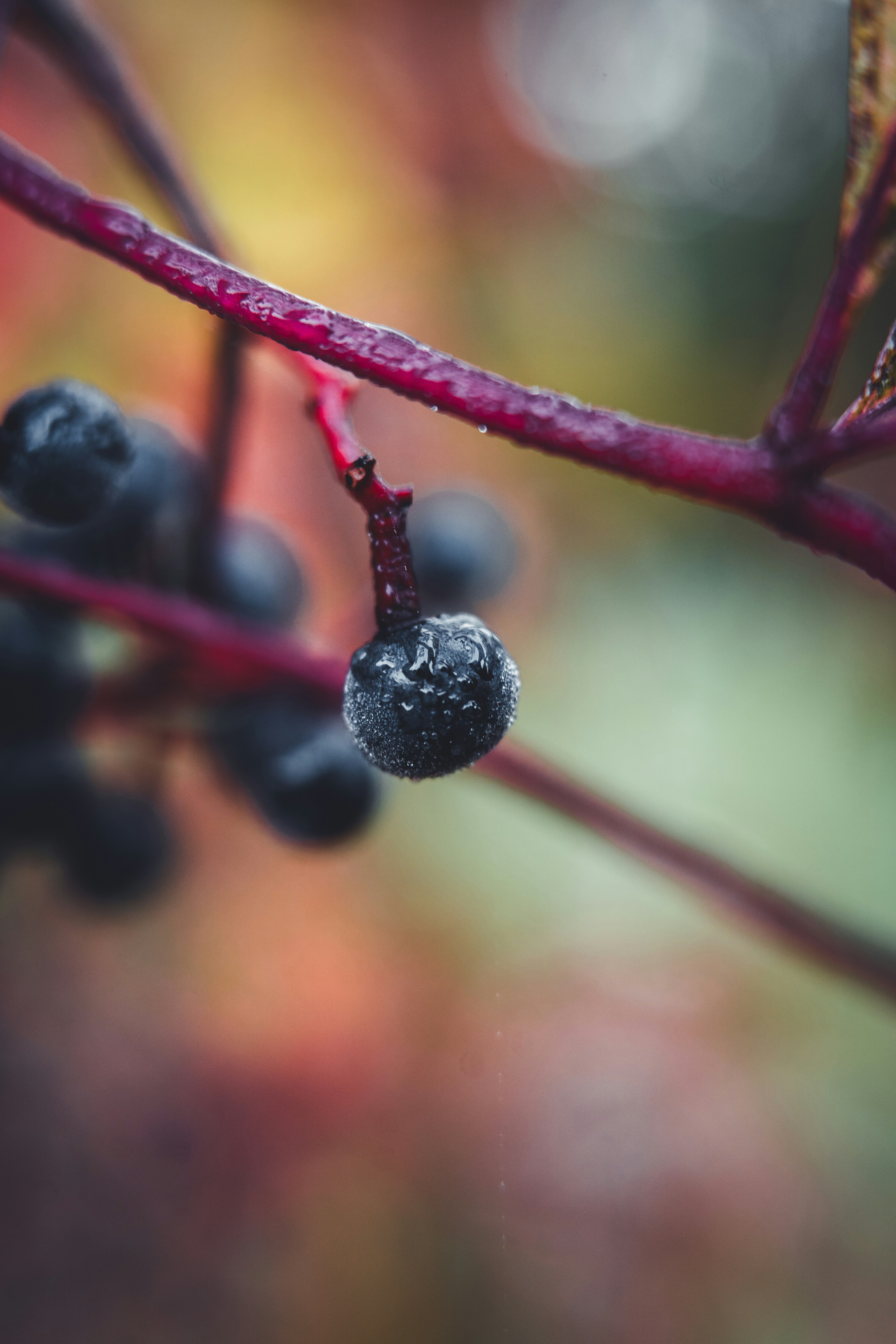 Photo by dermanuskript