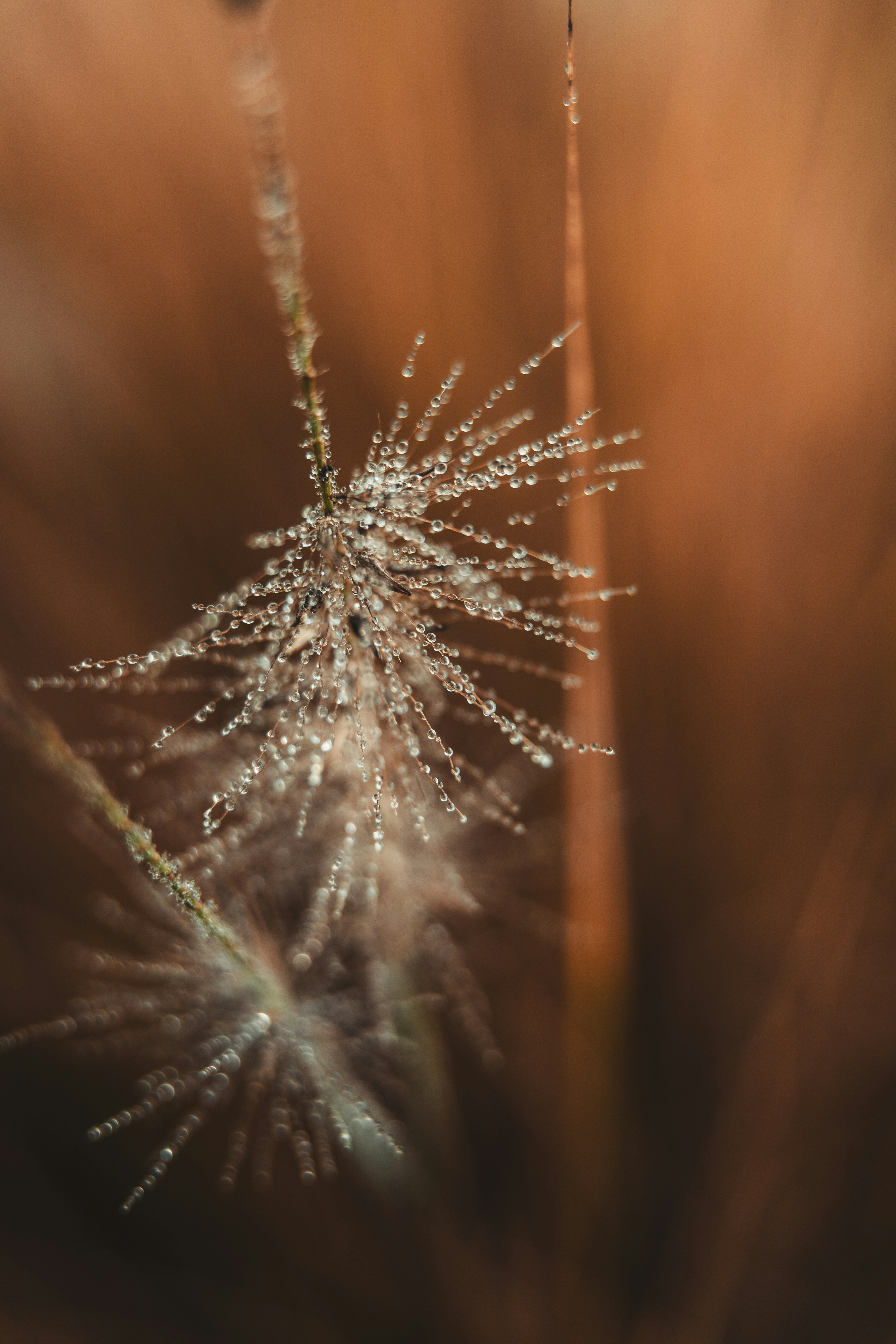 Photo by dermanuskript