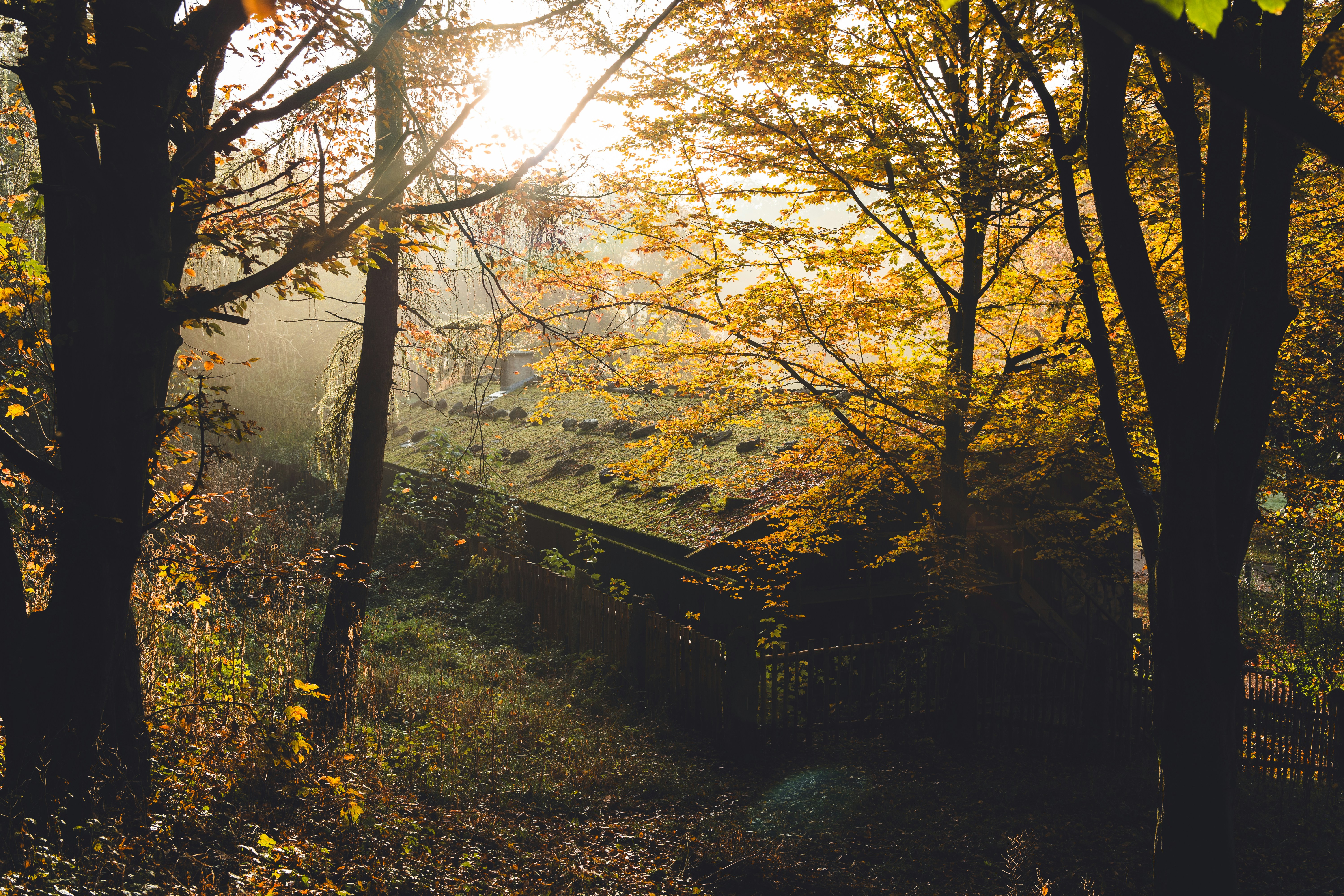 Photo by dermanuskript