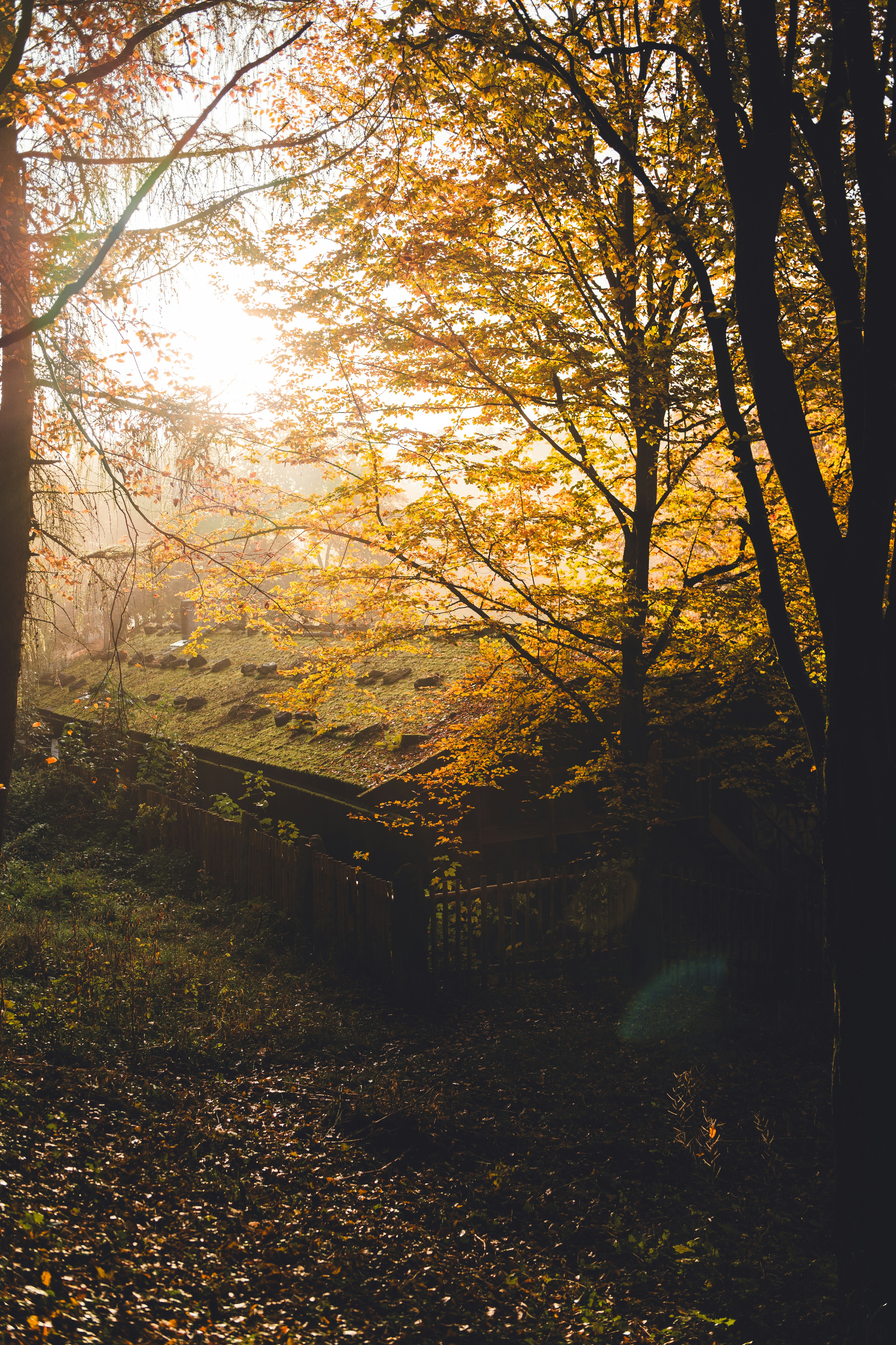 Photo by dermanuskript