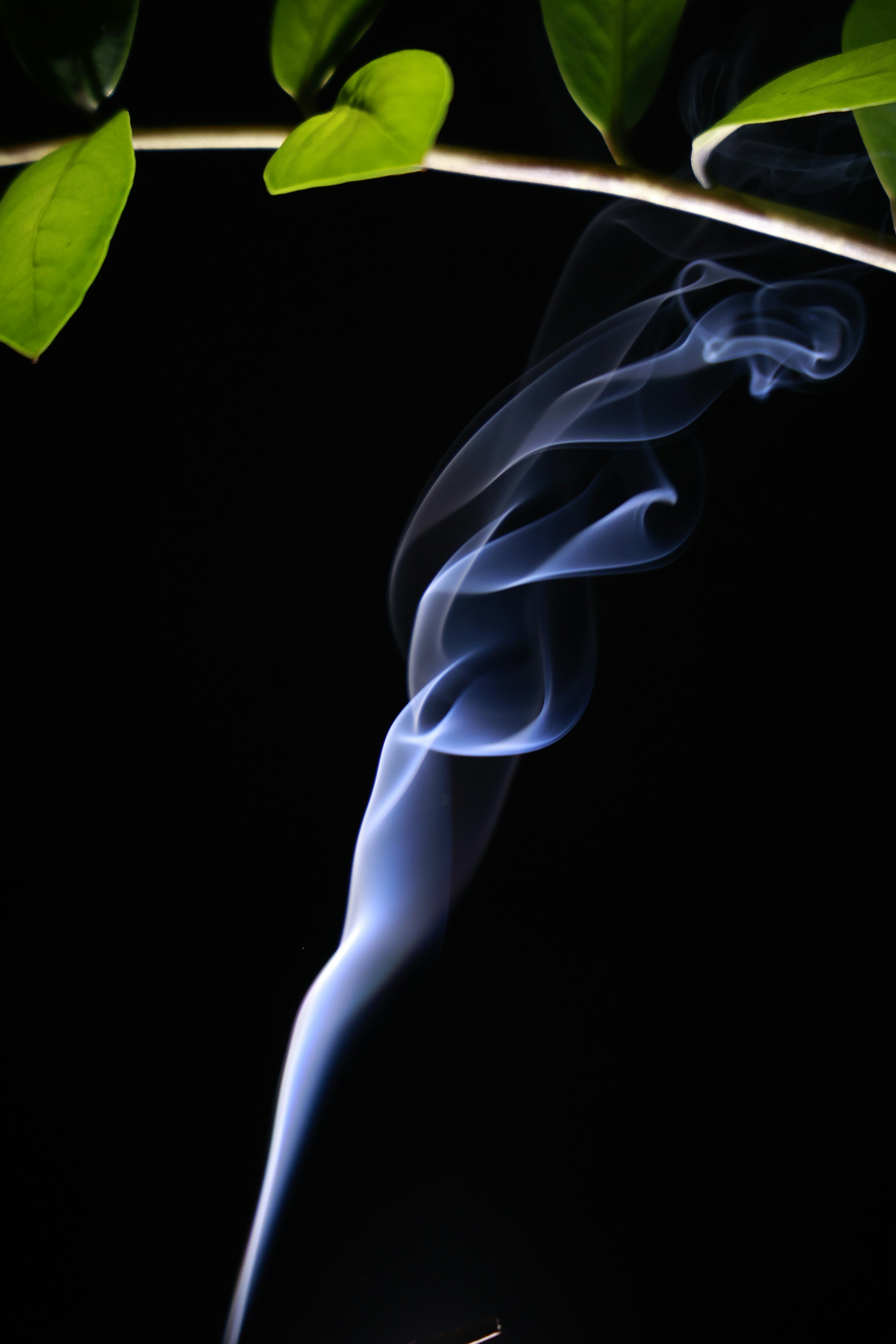 A lit matchstick with smoke coming out of it