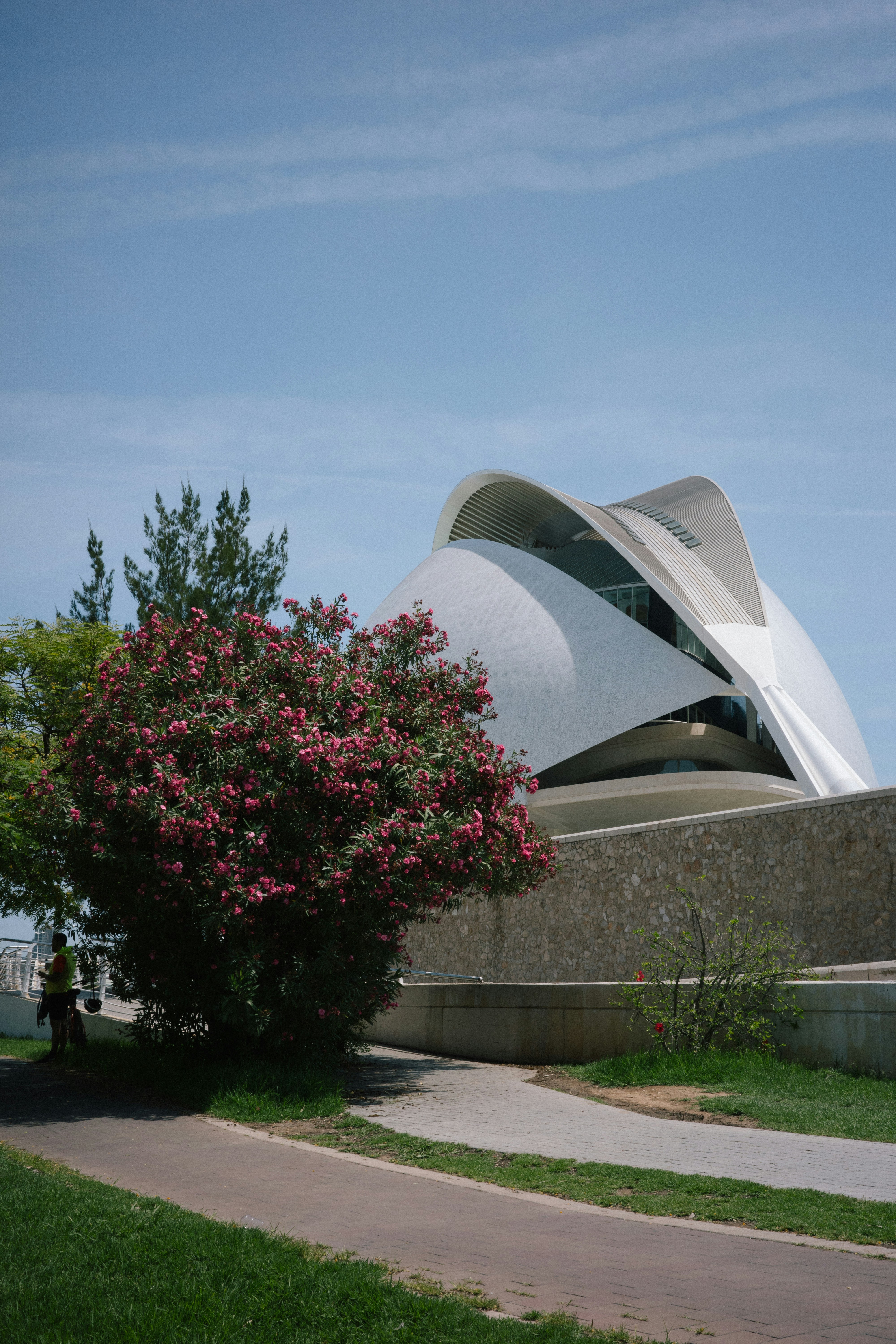 Palau de les Arts Reina Sofia photo 3