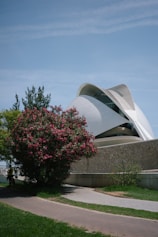 A building with a curved roof and a tree in front of it