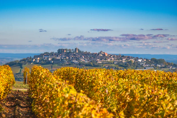 Vignobles de Sancerre Loire — taxi touristique Cholet