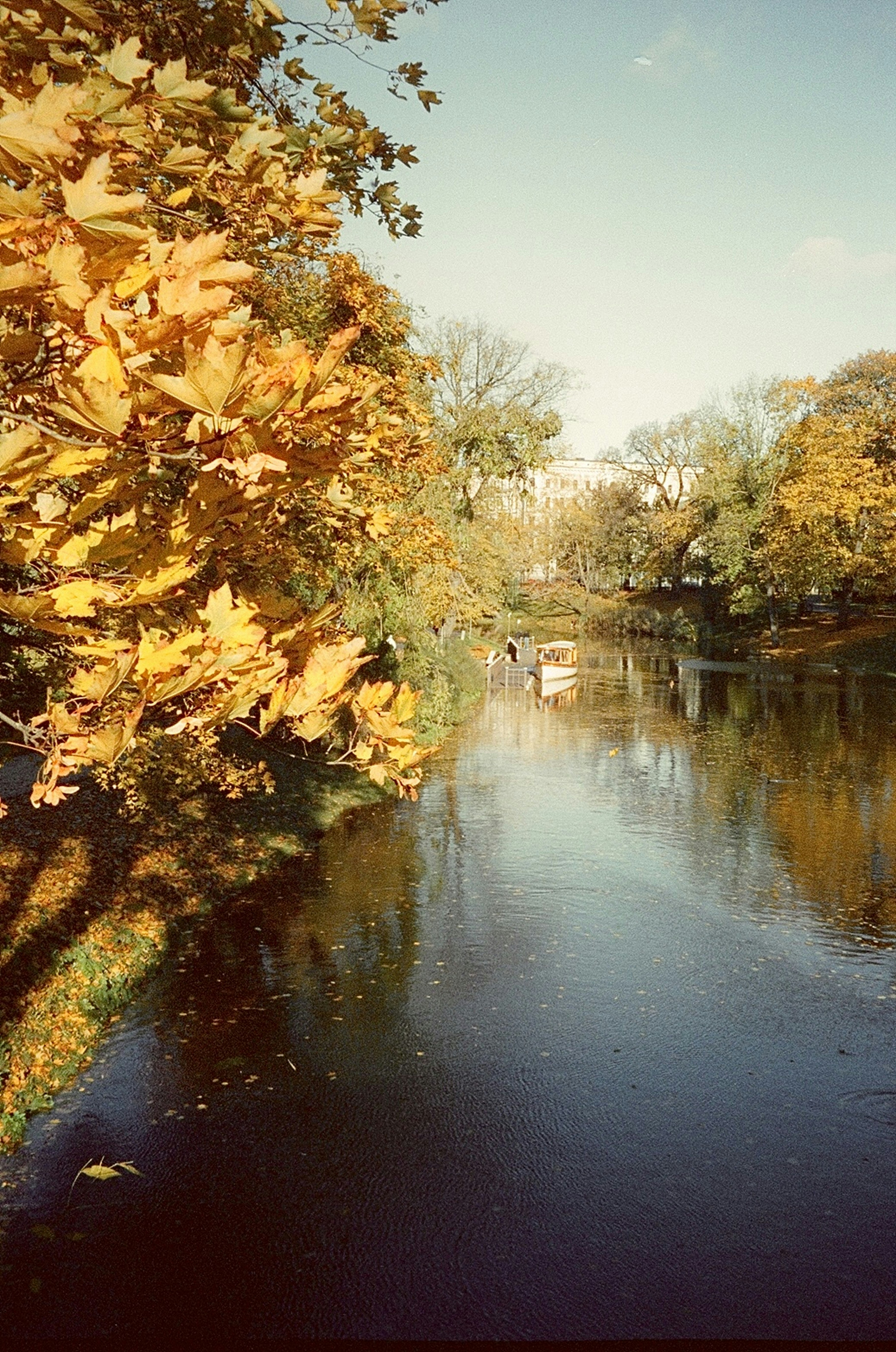 A body of water surrounded by lots of trees