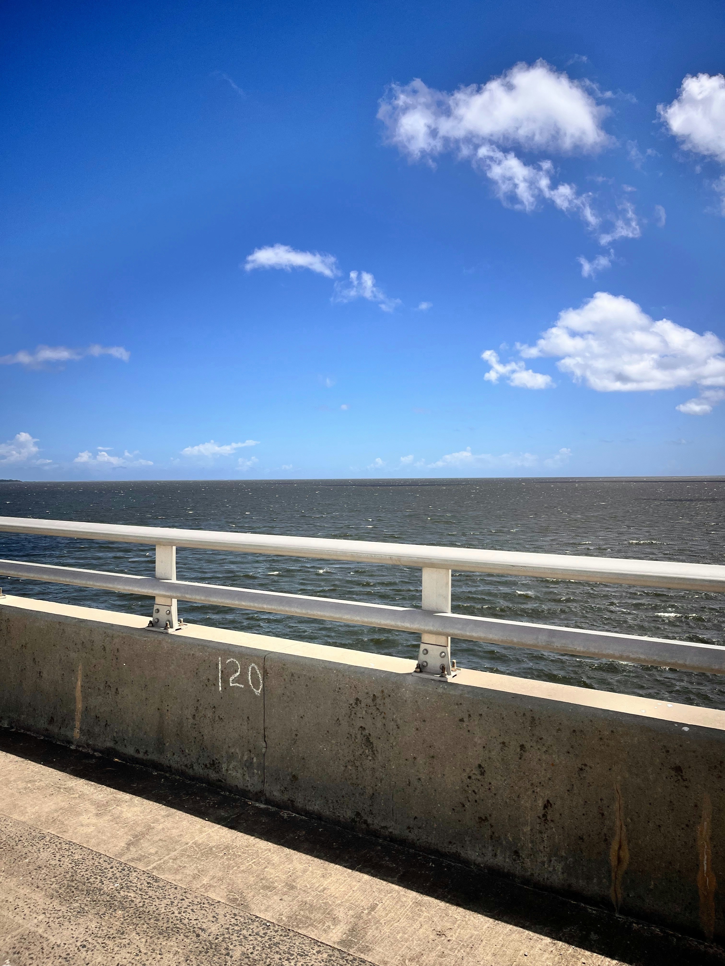 Photo by lainelingle