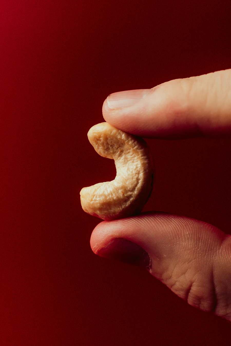 Cashew nuts close-up