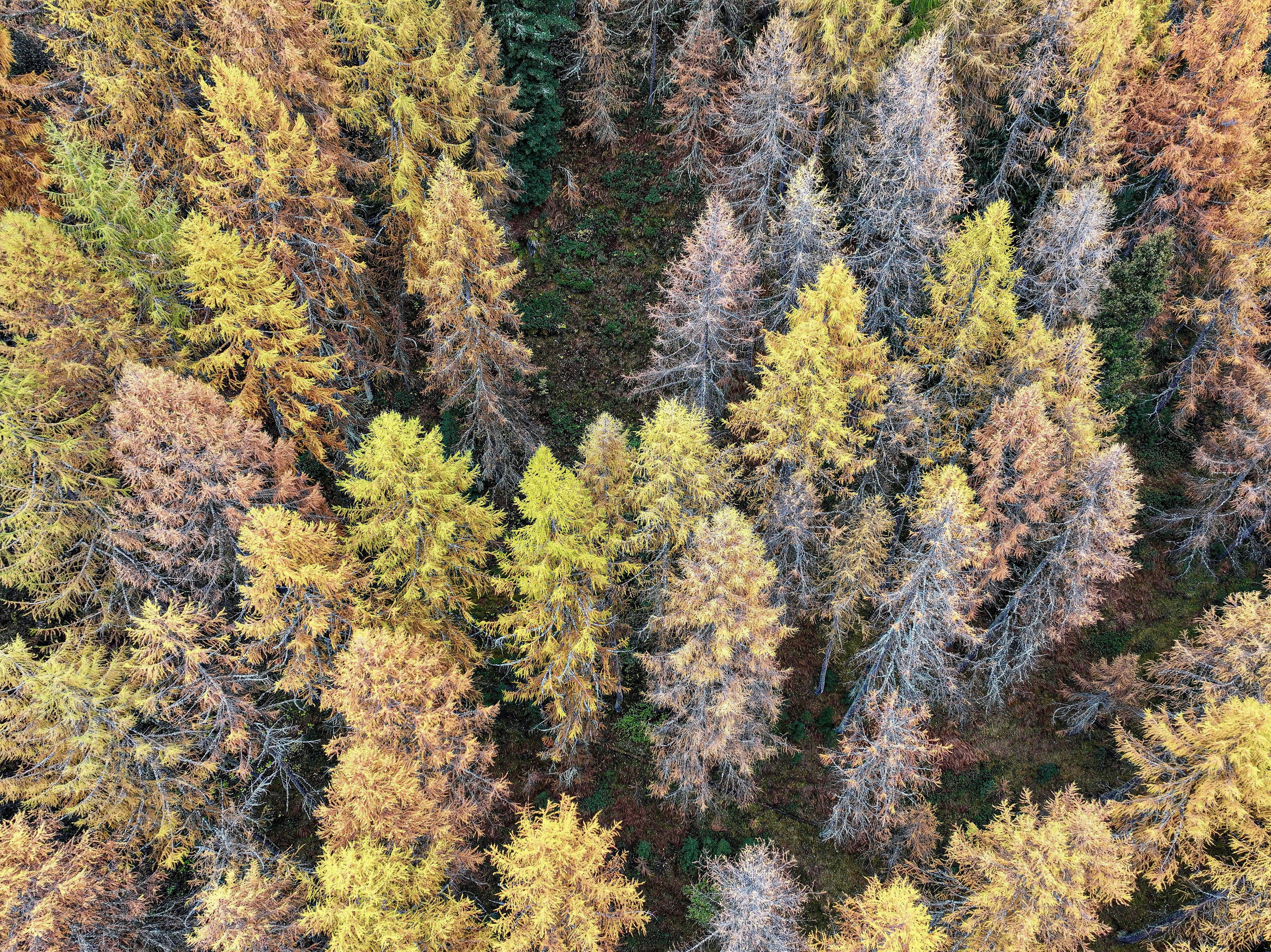 Photo by maximilian_brand