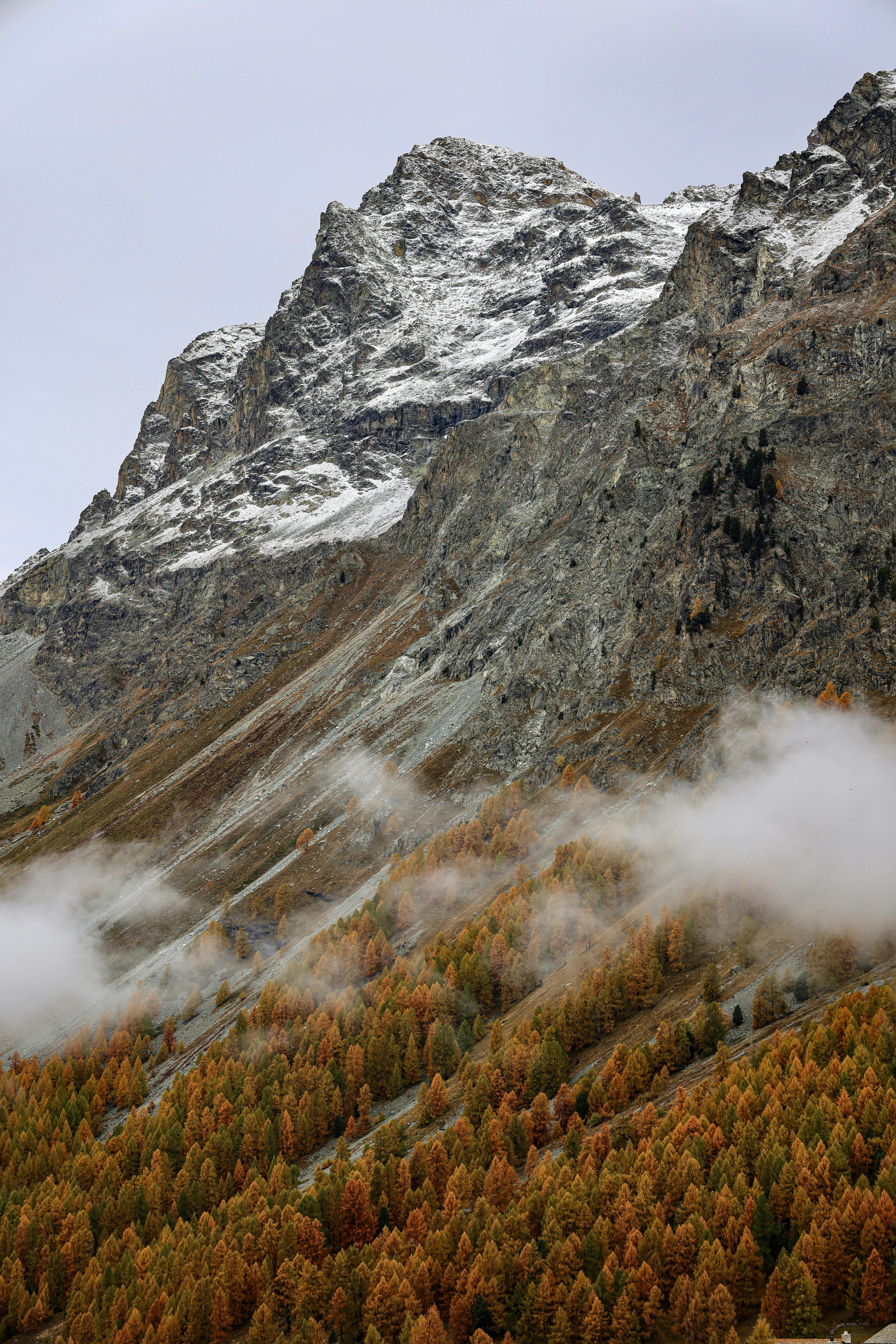 Photo by maximilian_brand