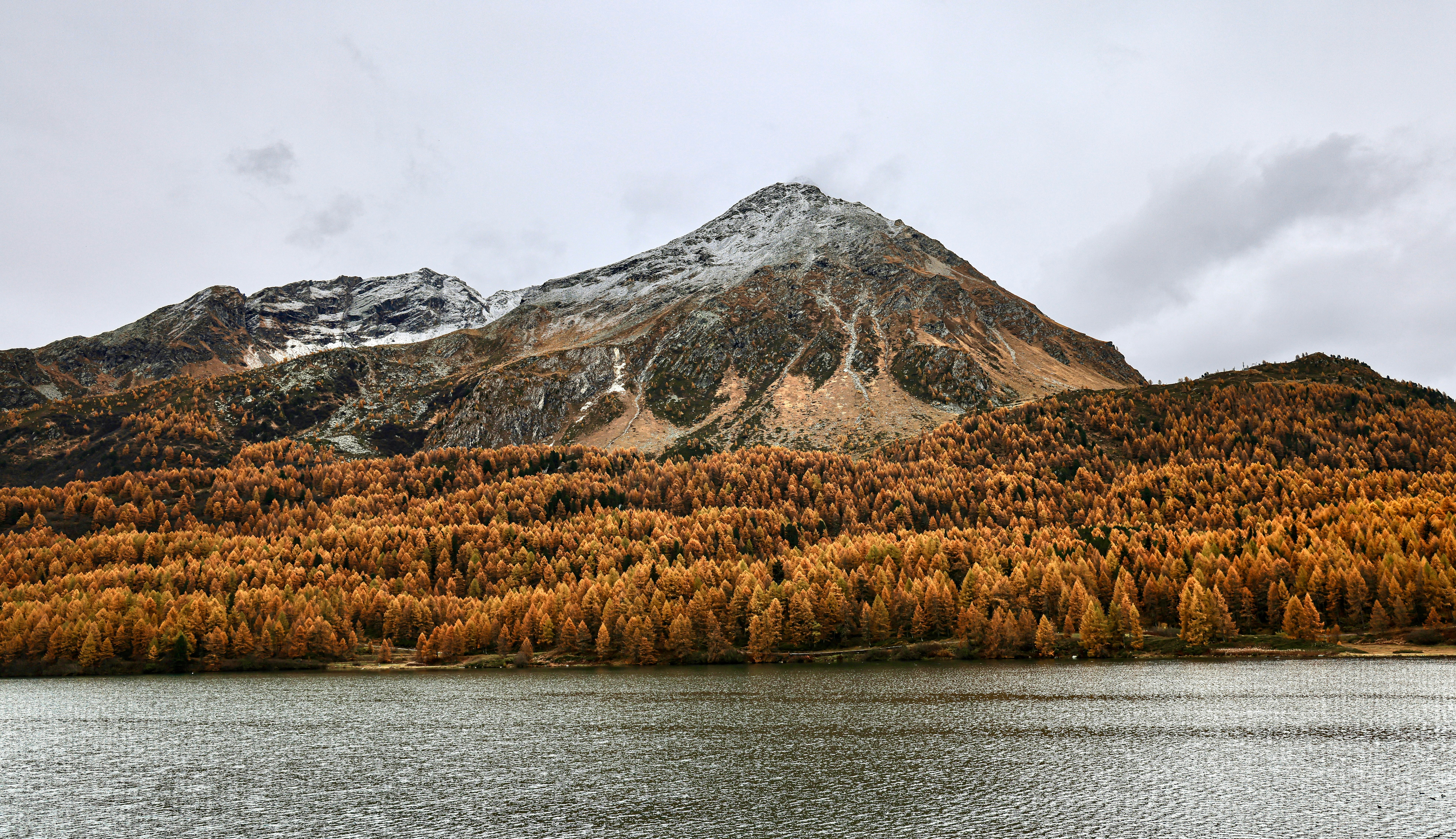 Photo by maximilian_brand