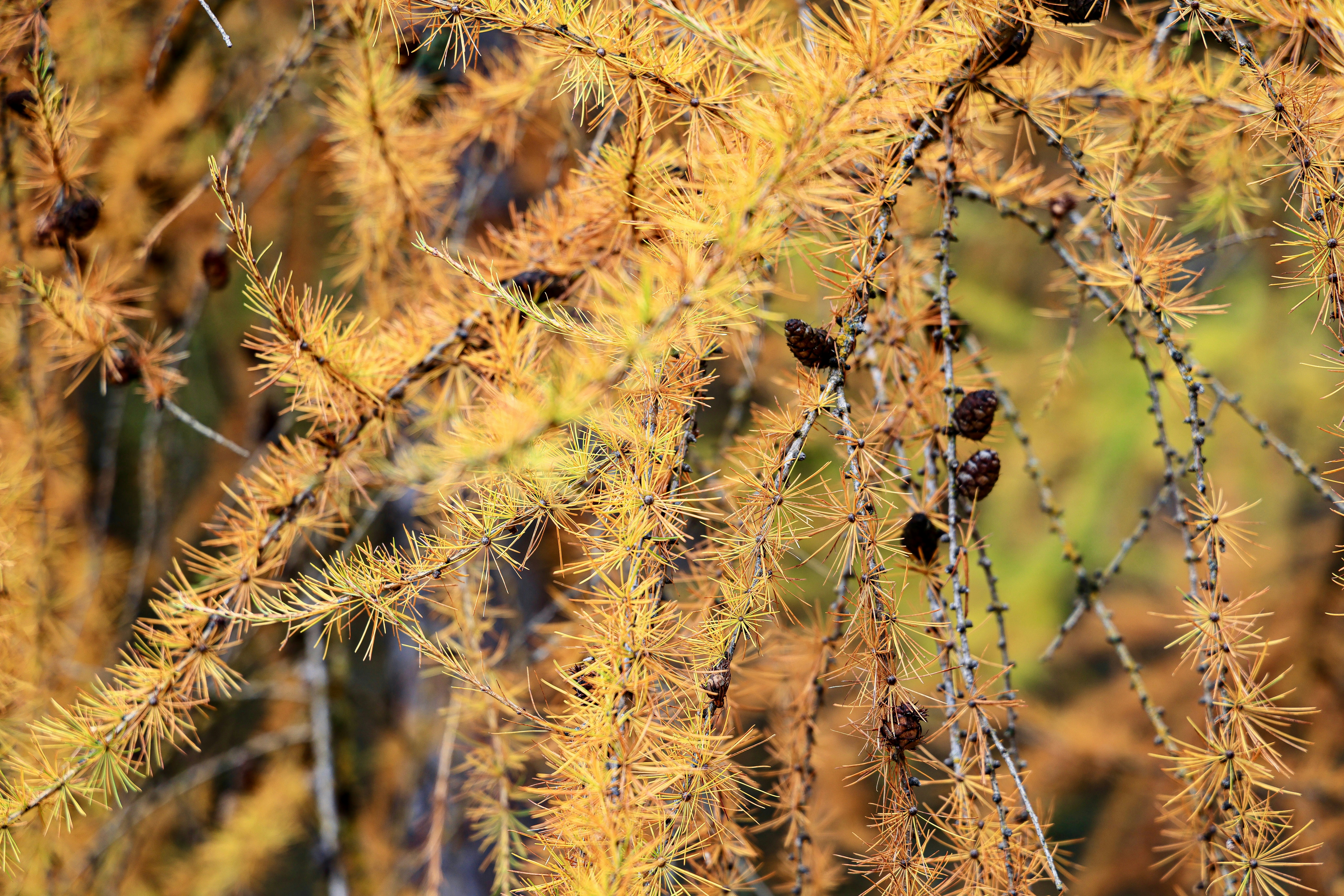 Photo by maximilian_brand