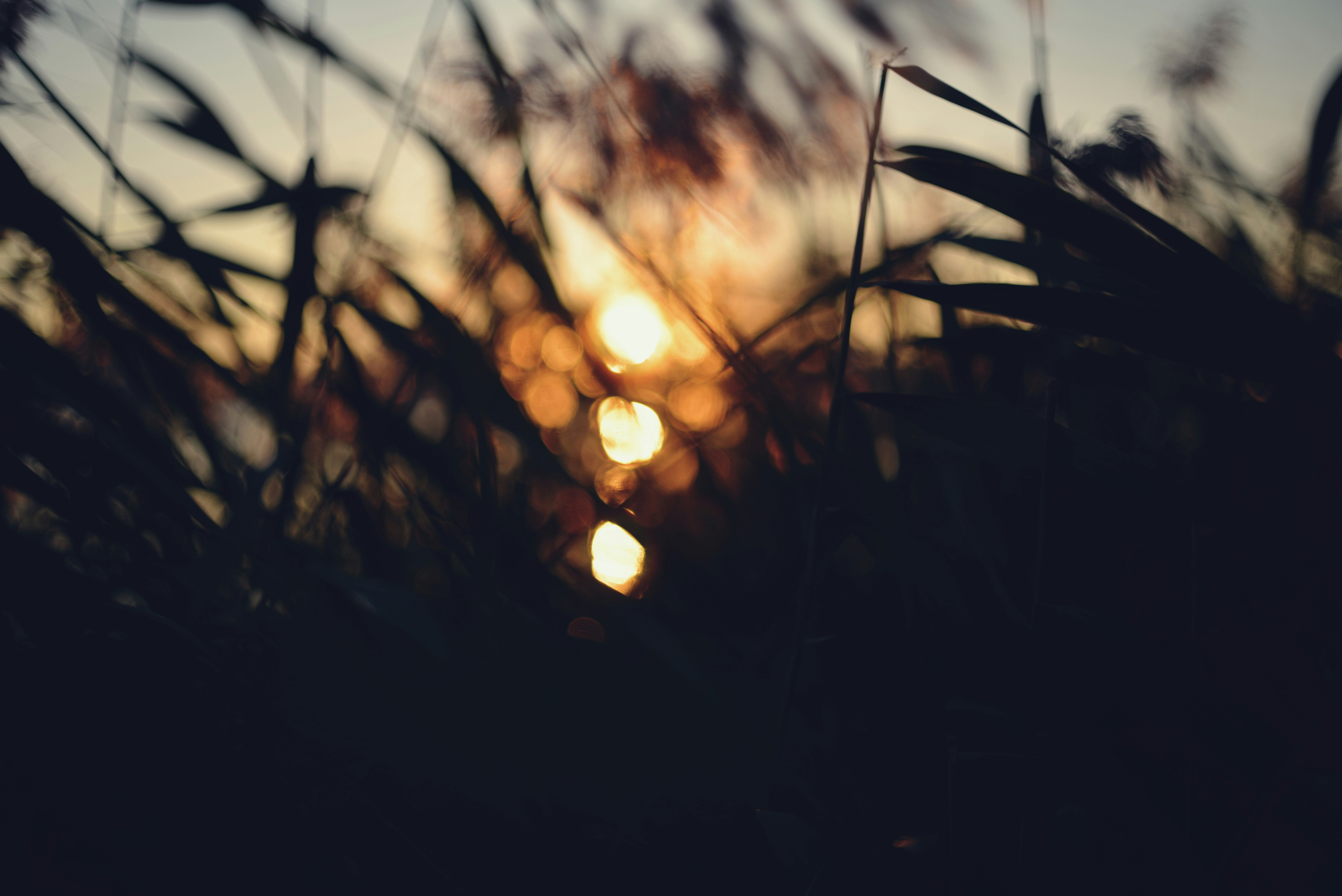 Photo by cherstve_pechivo