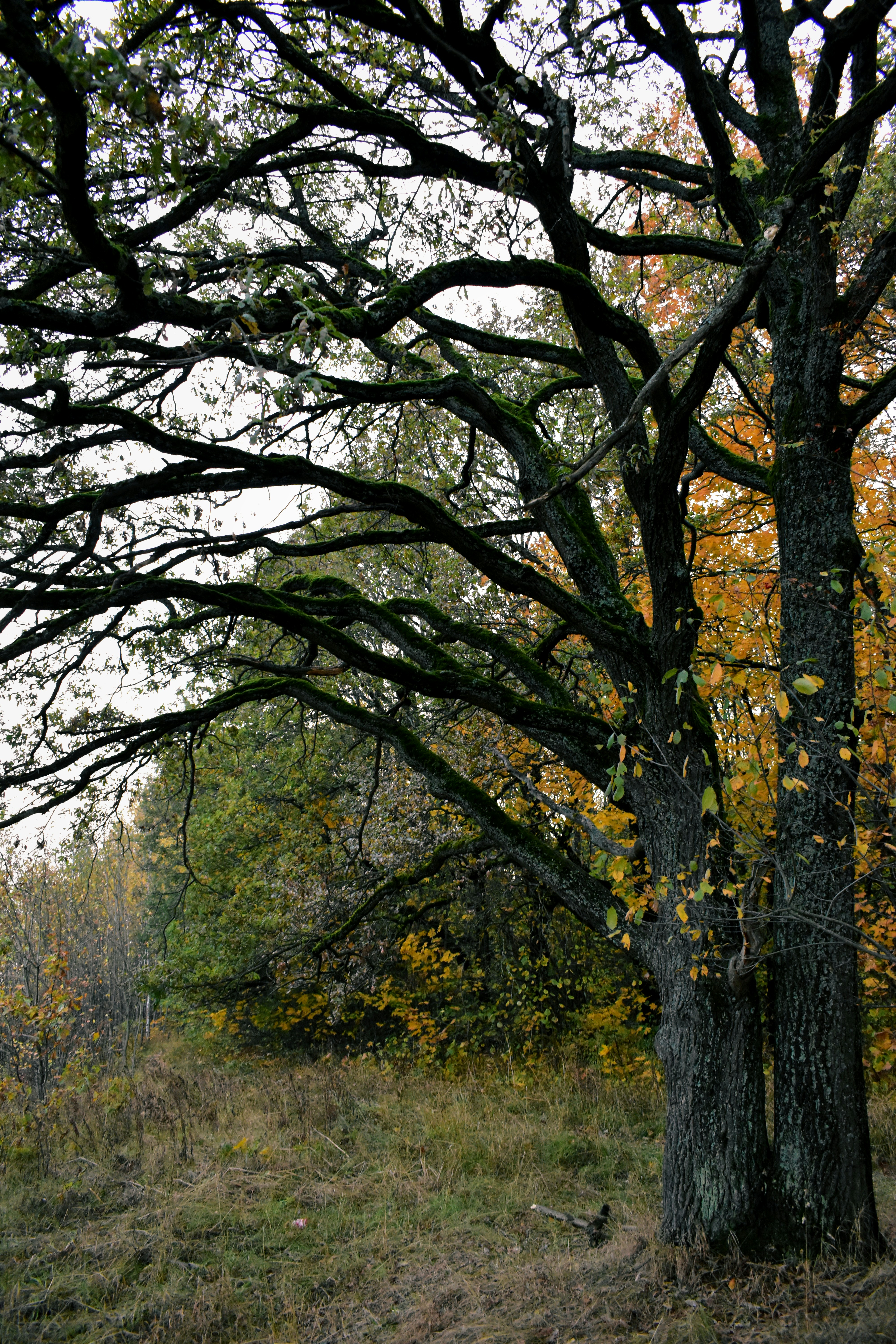 Photo by polina_grishma