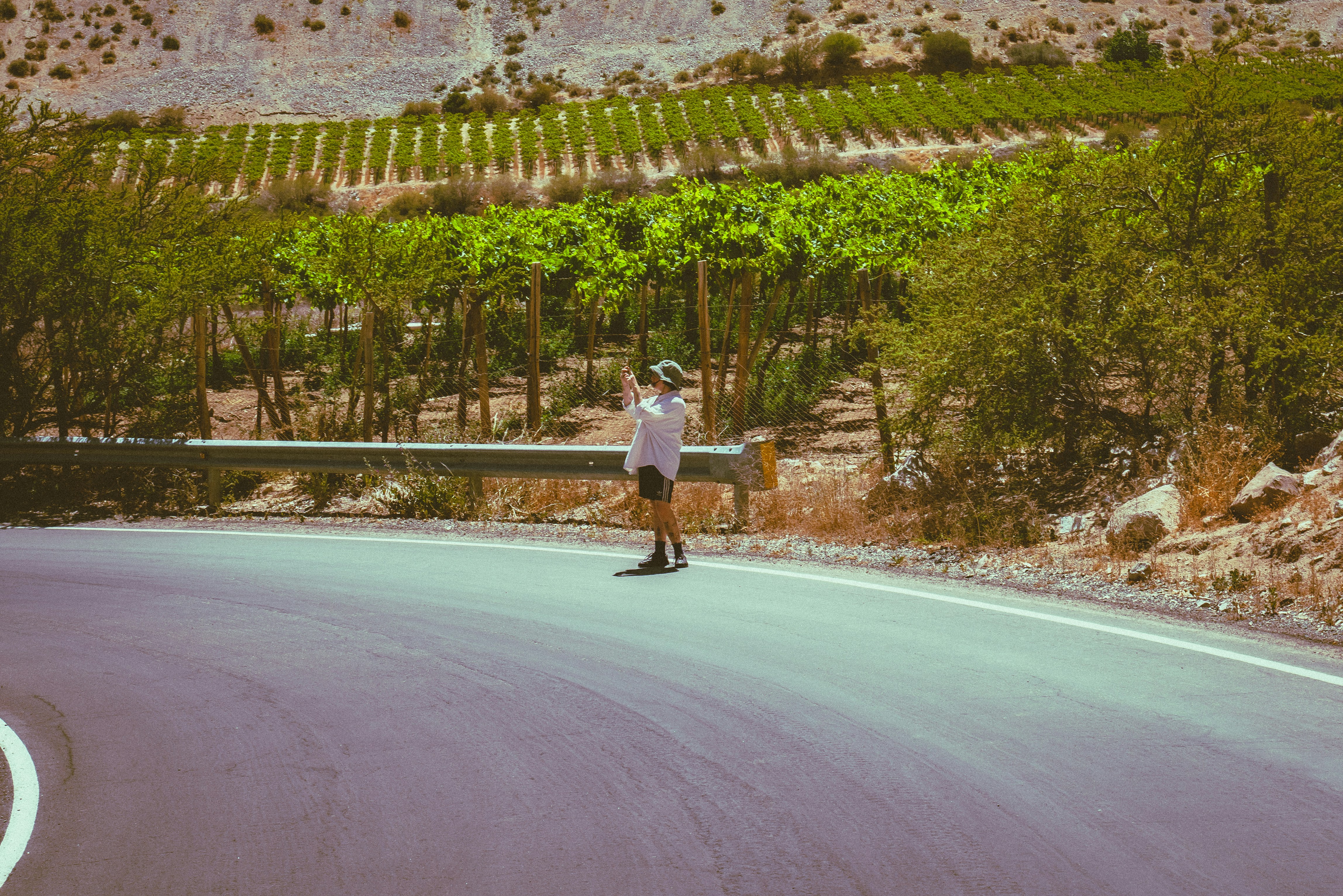A man riding a skateboard down a curvy road, Girl taking a selfie in a wineyard on Paihuano, Chile.