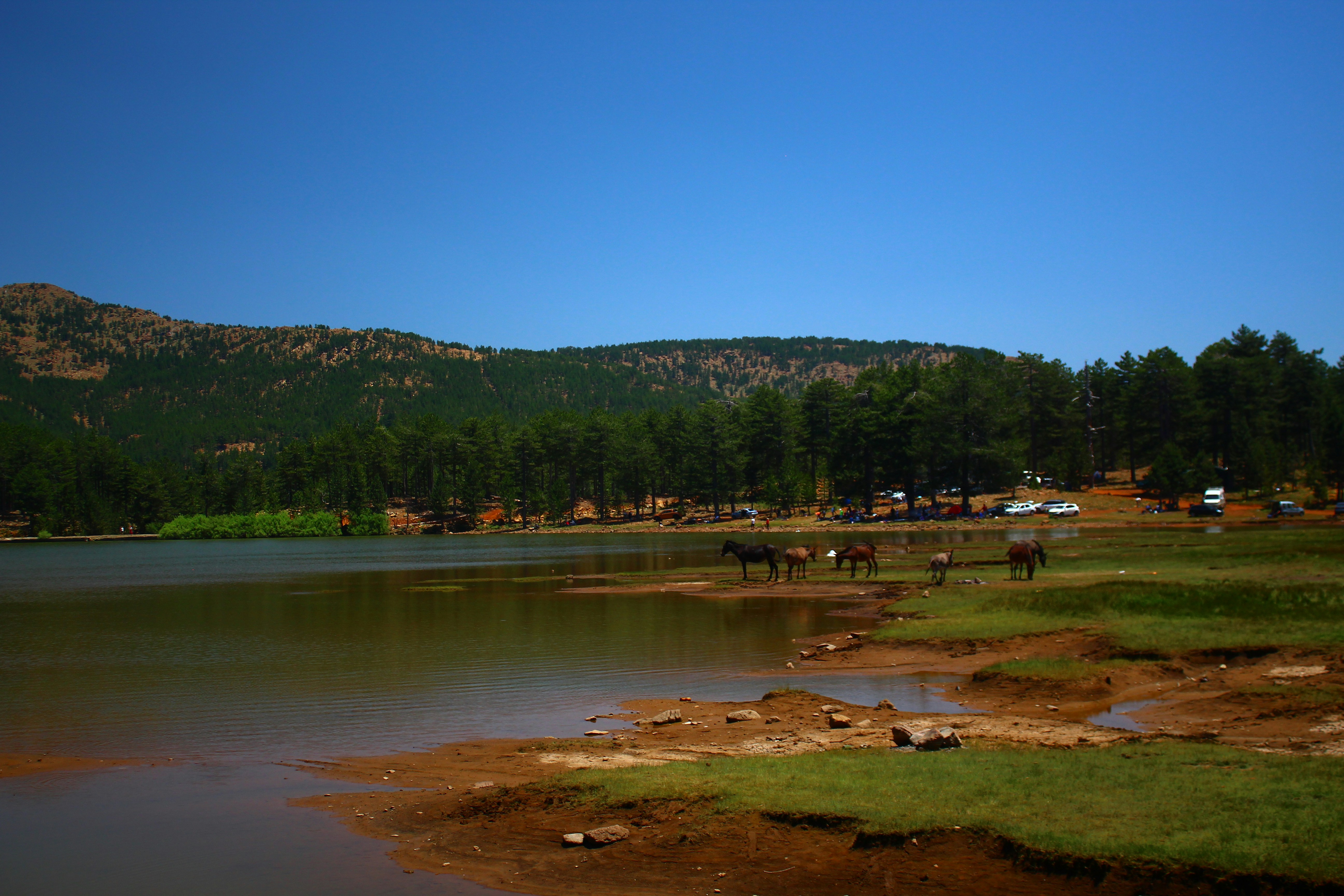 A view of a lake with a mountain in the background