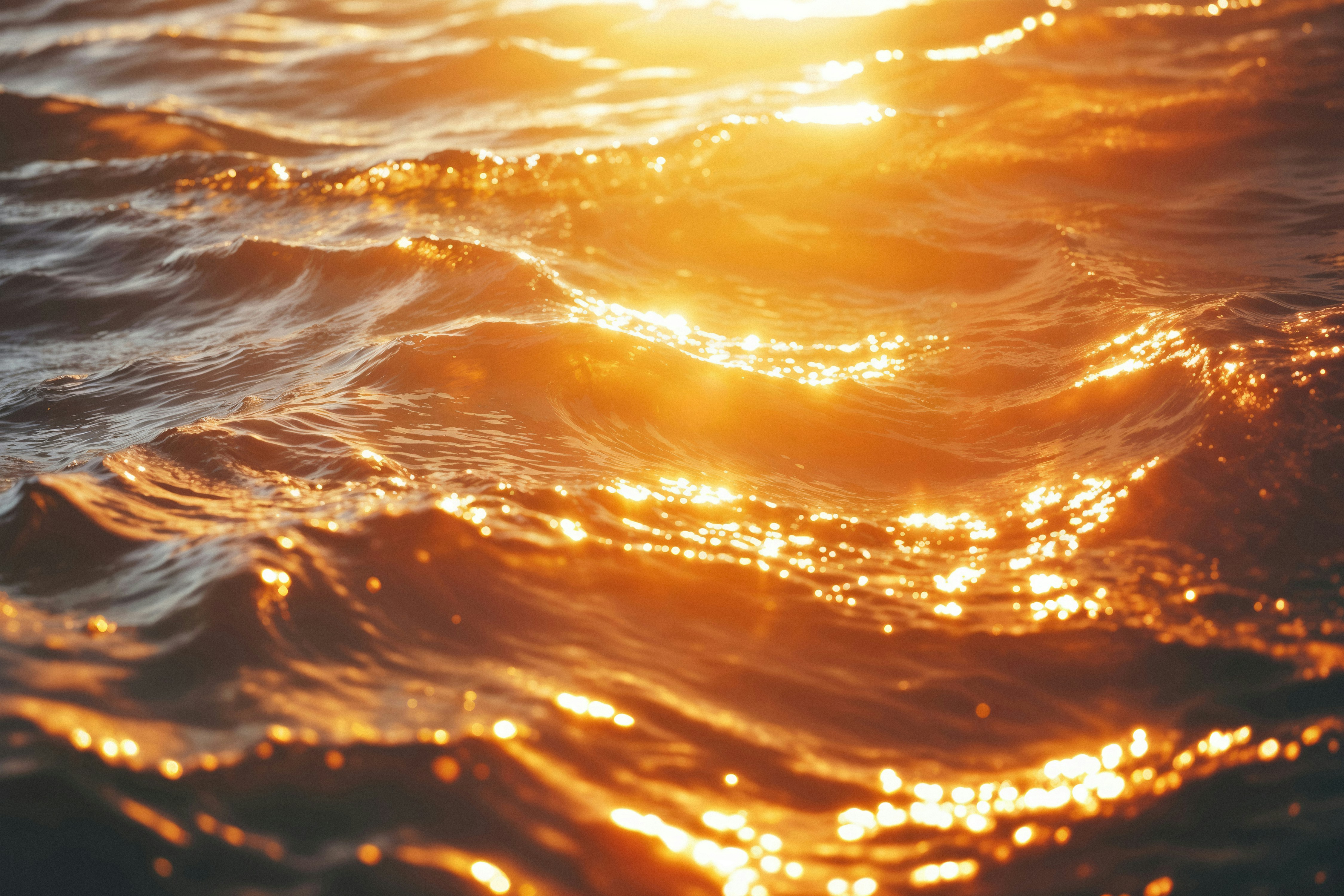 The sun is shining brightly over the water