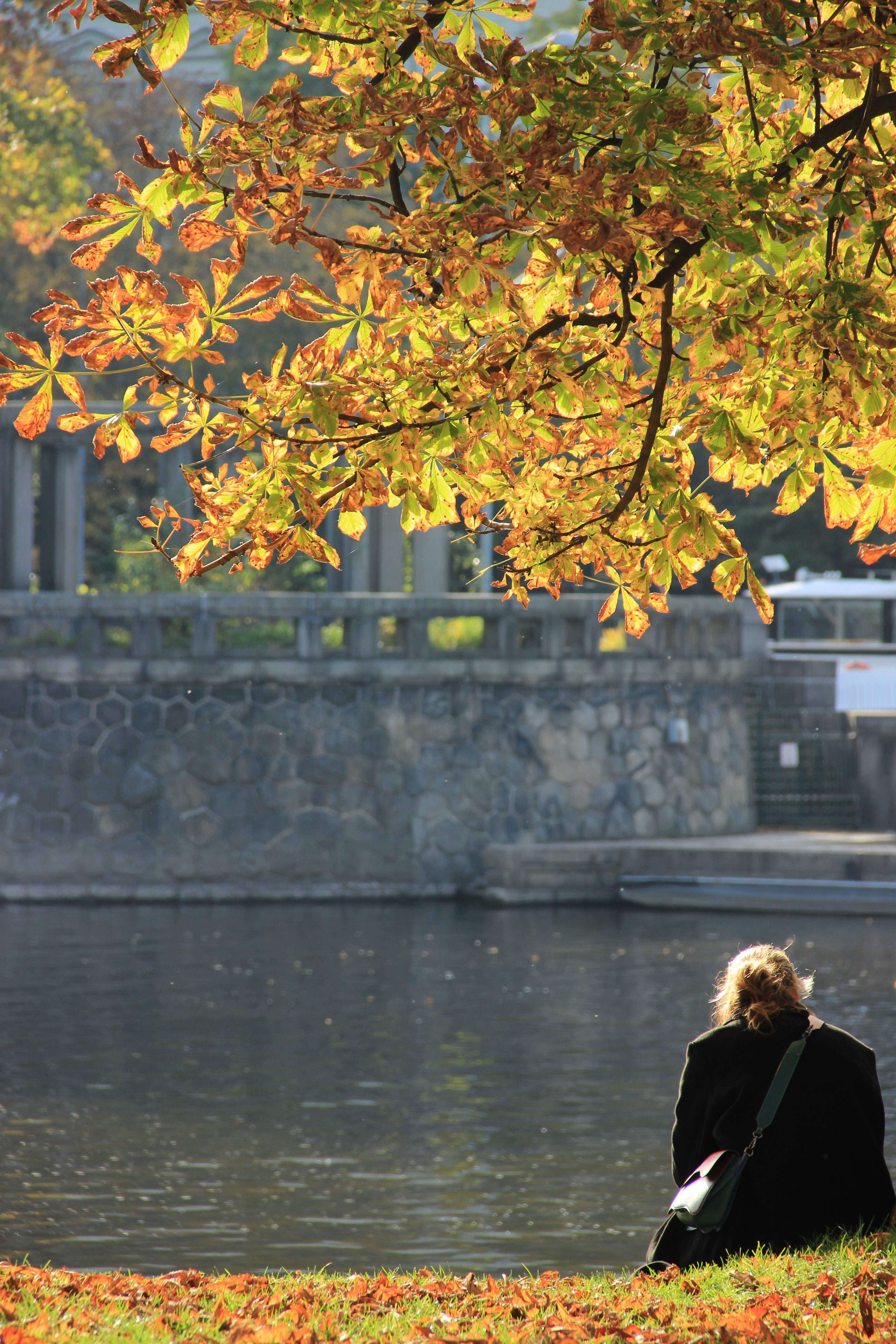 Photo by daniyarorazov