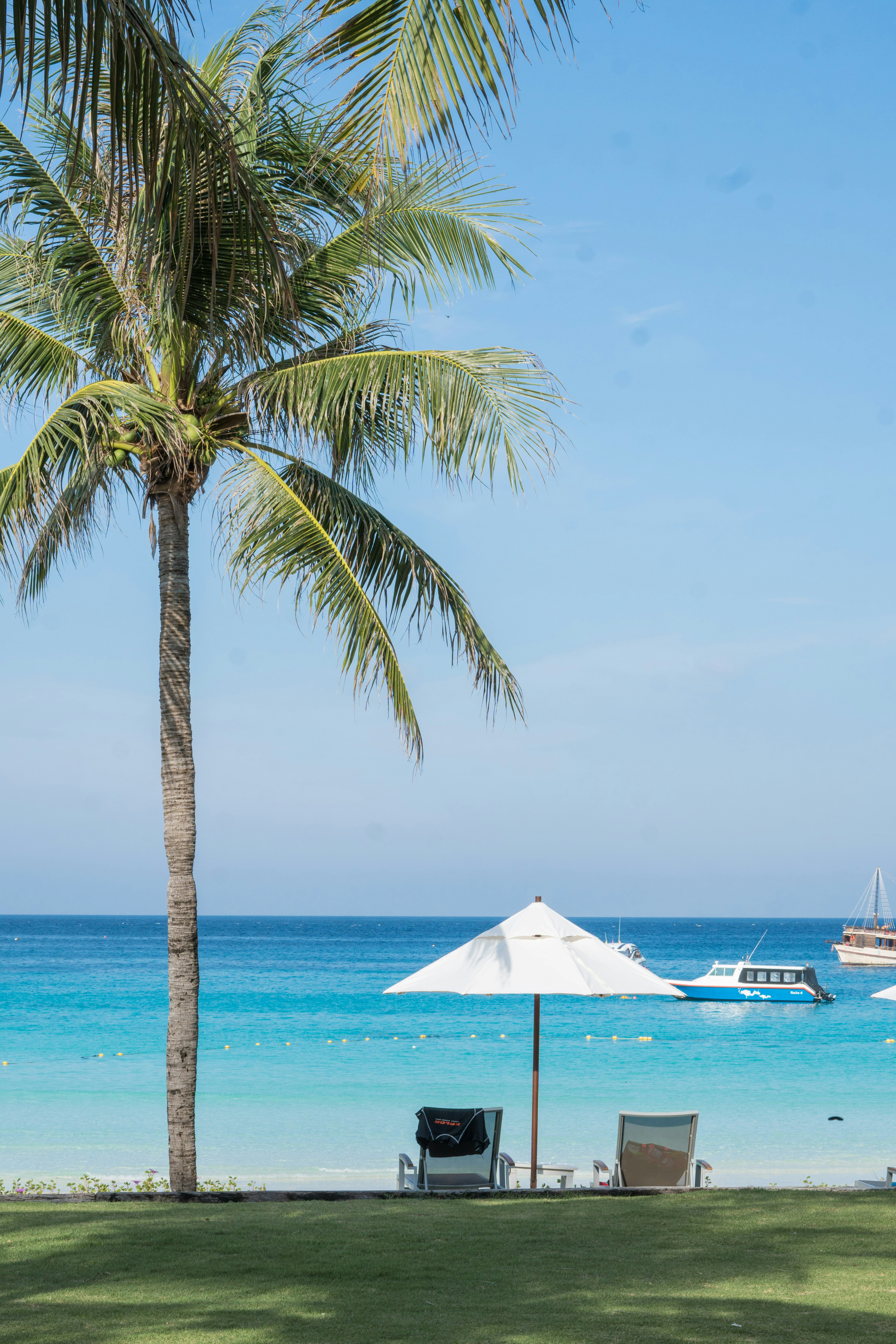 Photo by antonioaaaraujo