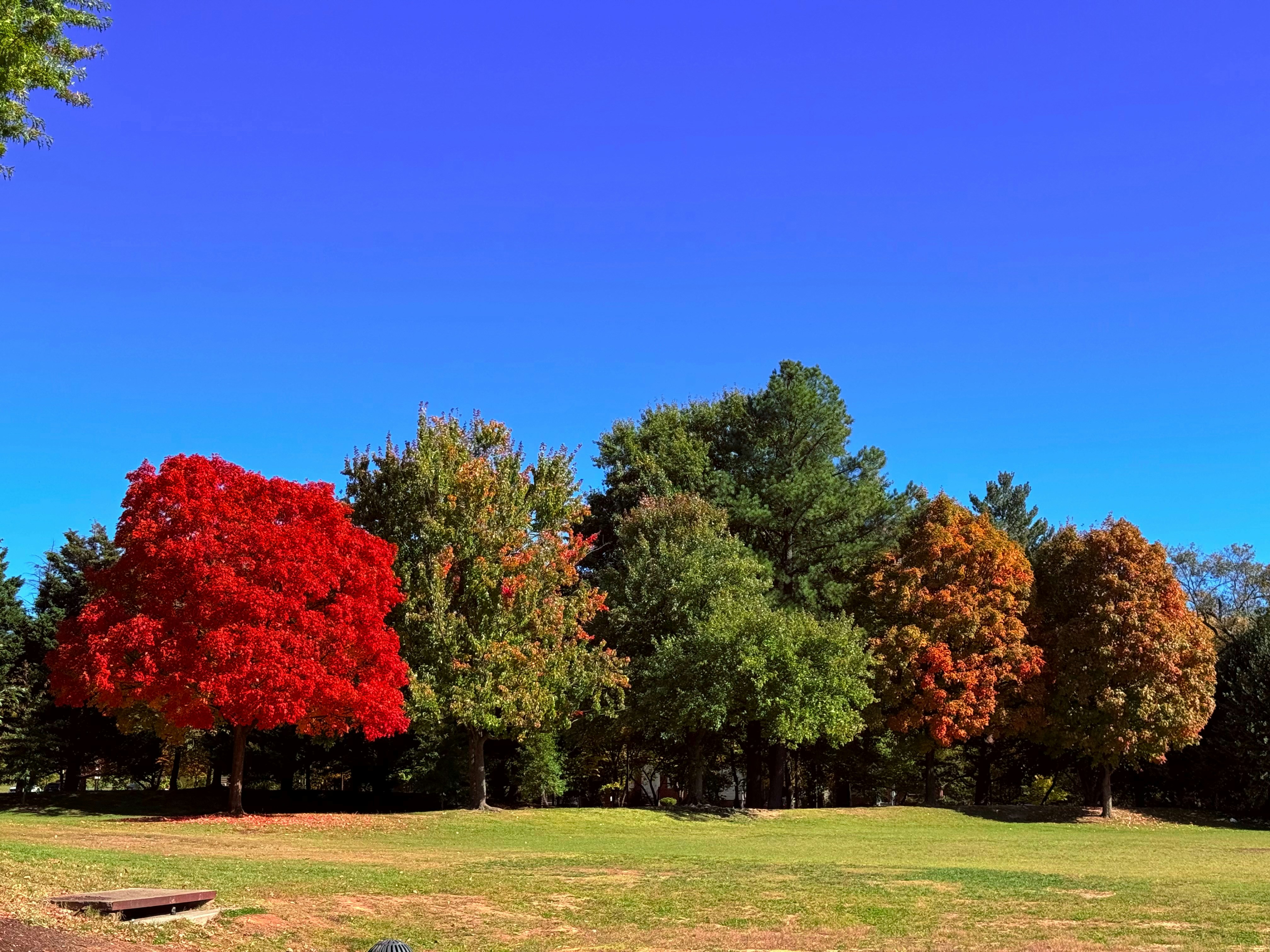 Photo by livingfor52