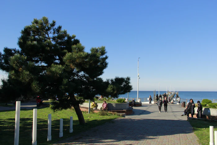 Best Free Things to Do in Jeju Island That Cost Absolutely Nothing