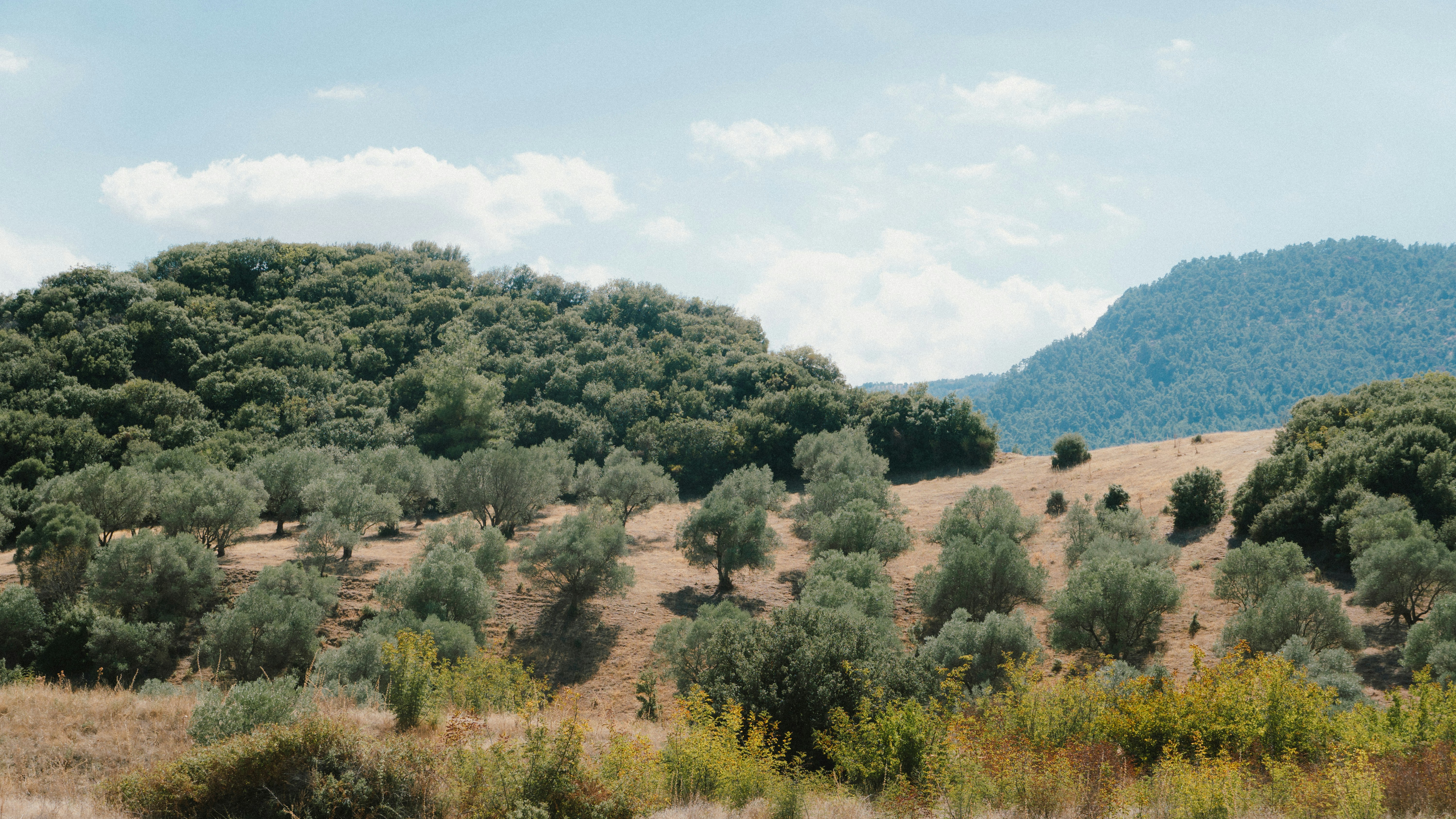 Photo by alexghiurau