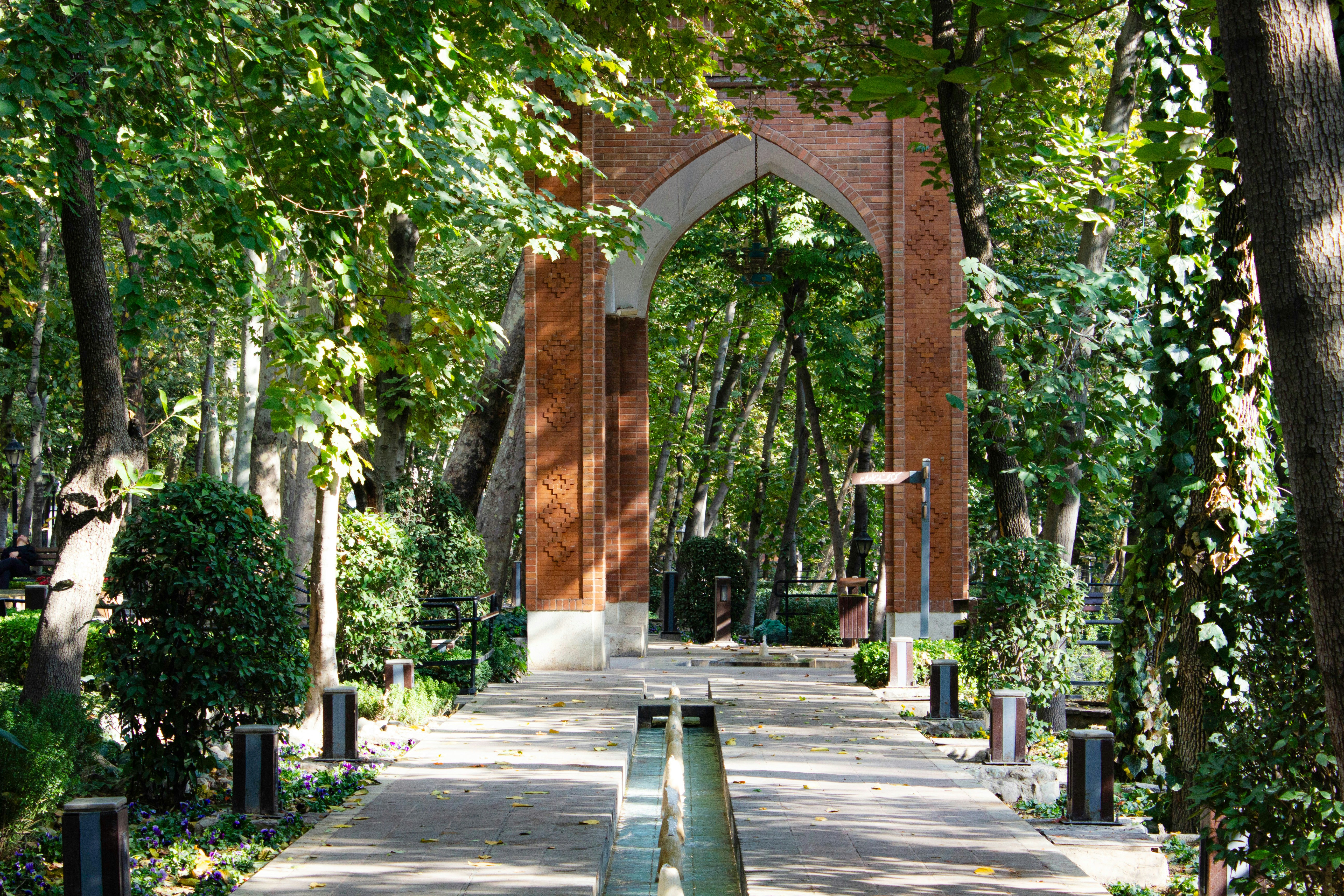 Photo by elham_frame