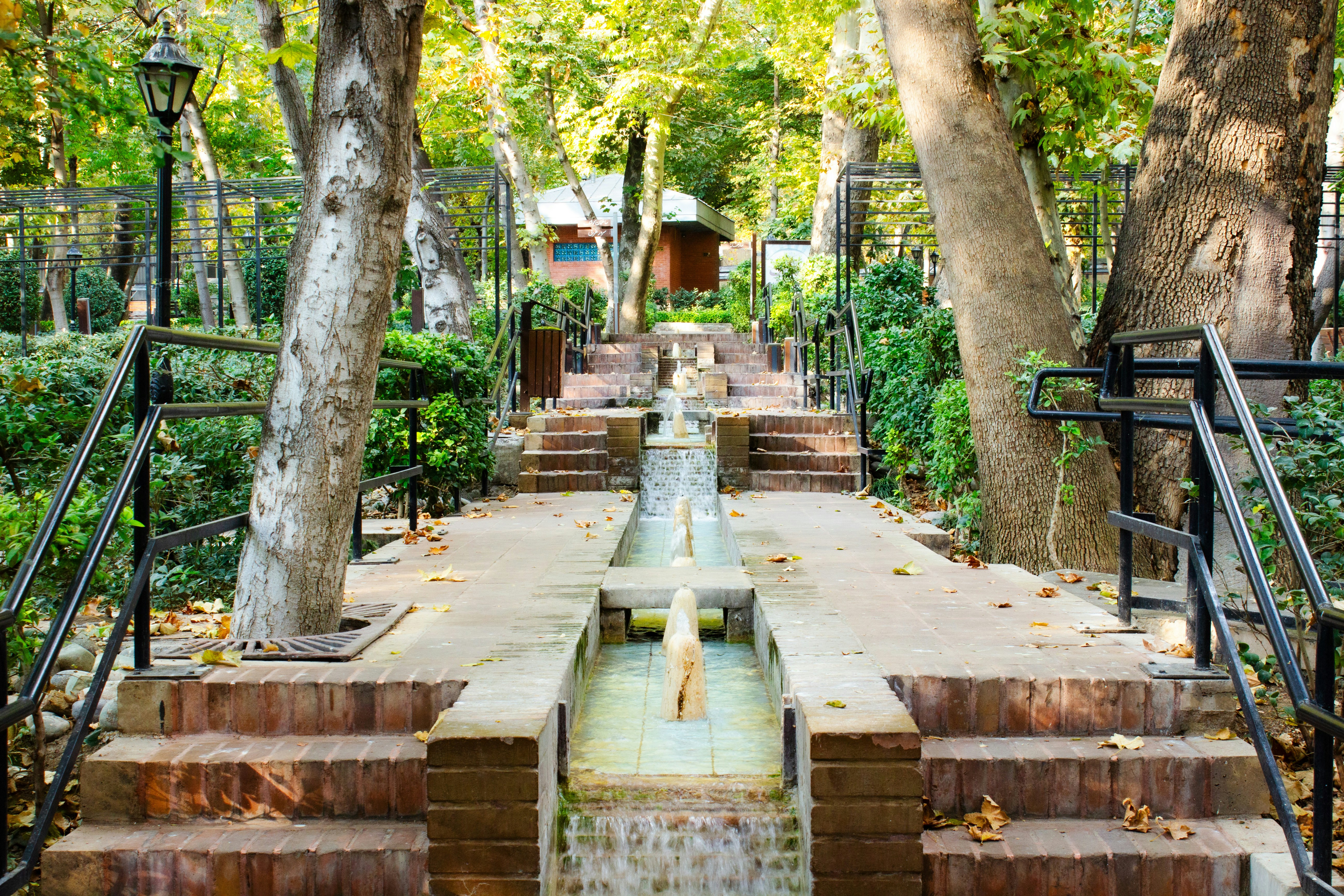 Photo by elham_frame