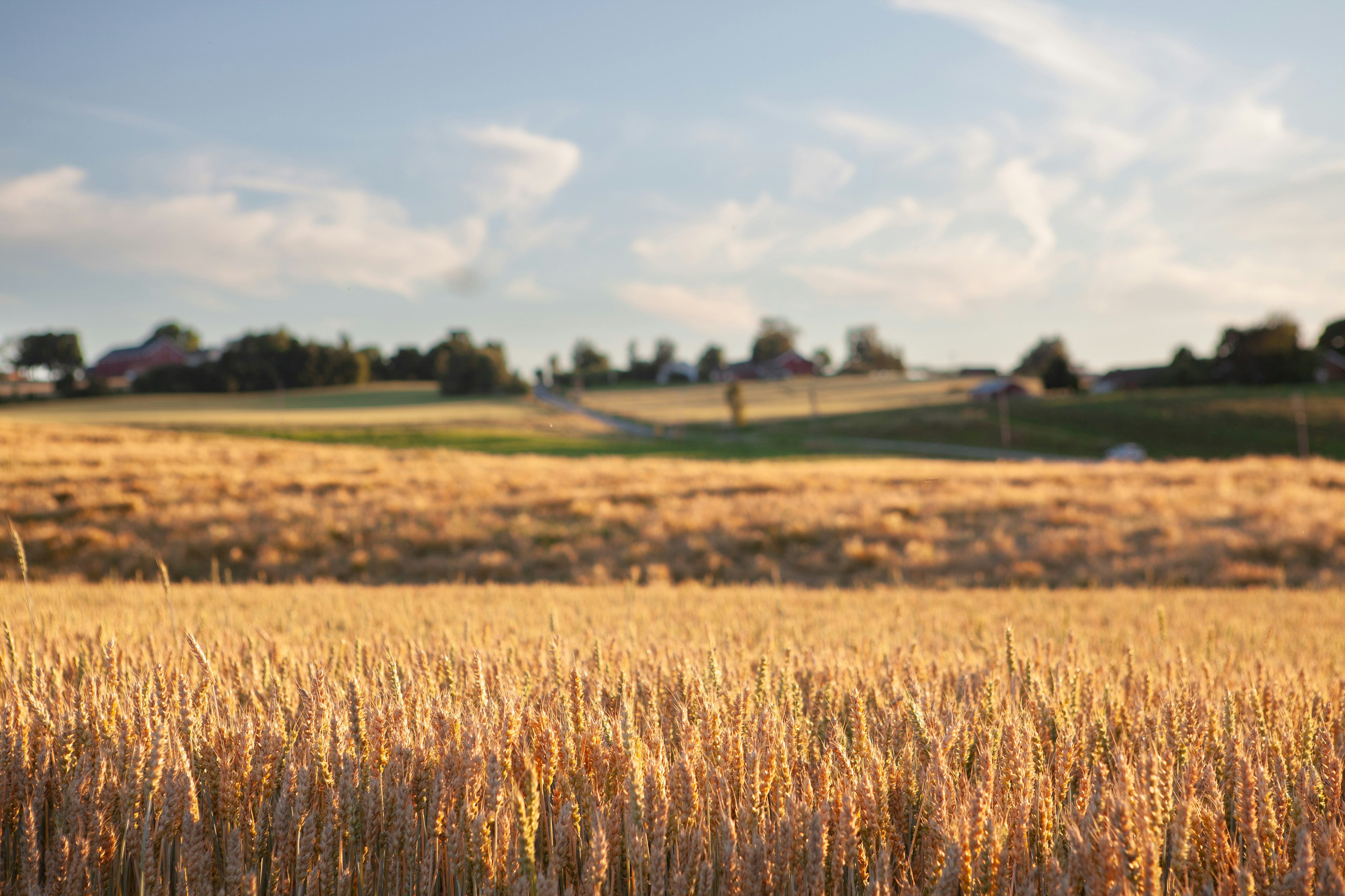 Photo by mordormedia