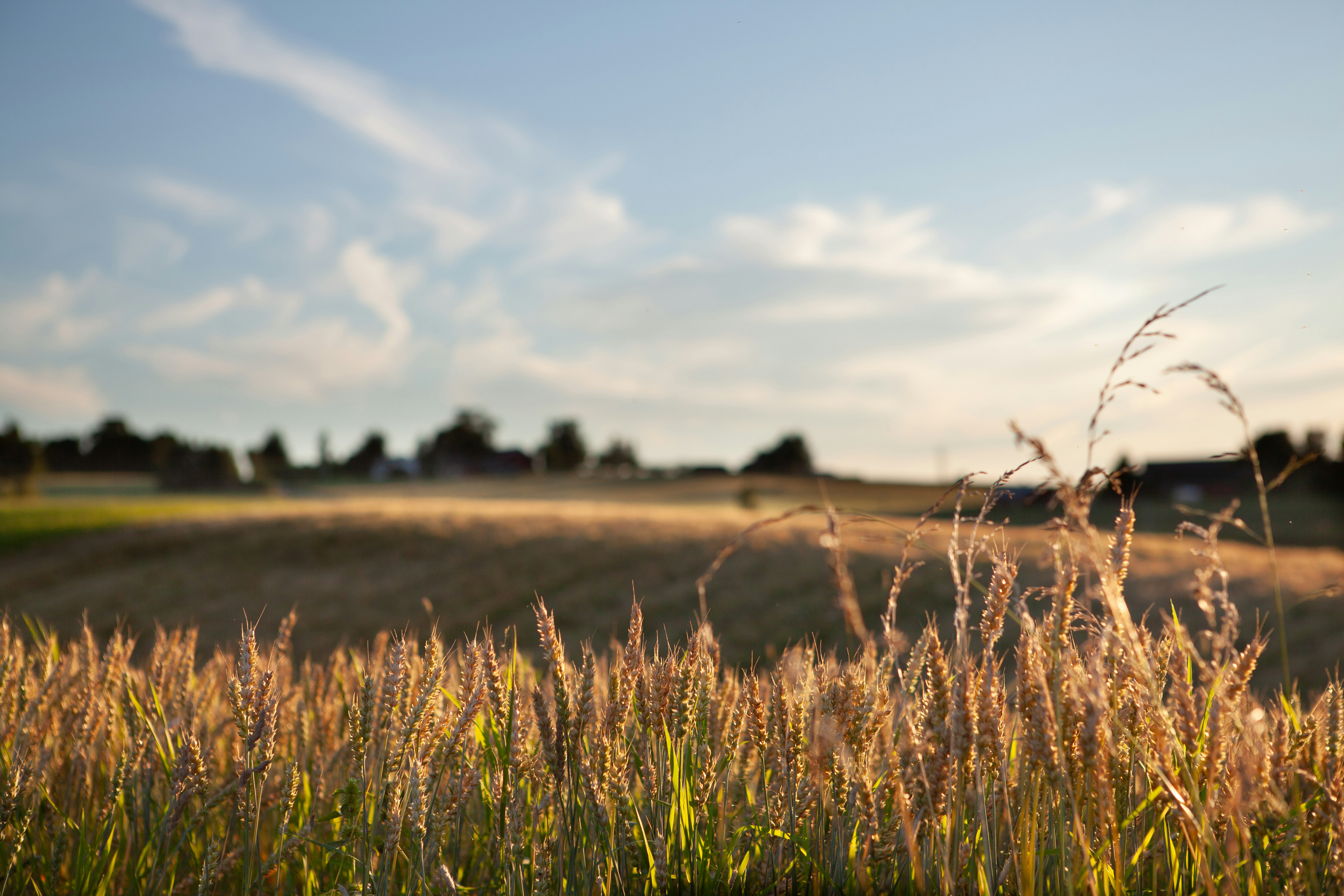 Photo by mordormedia