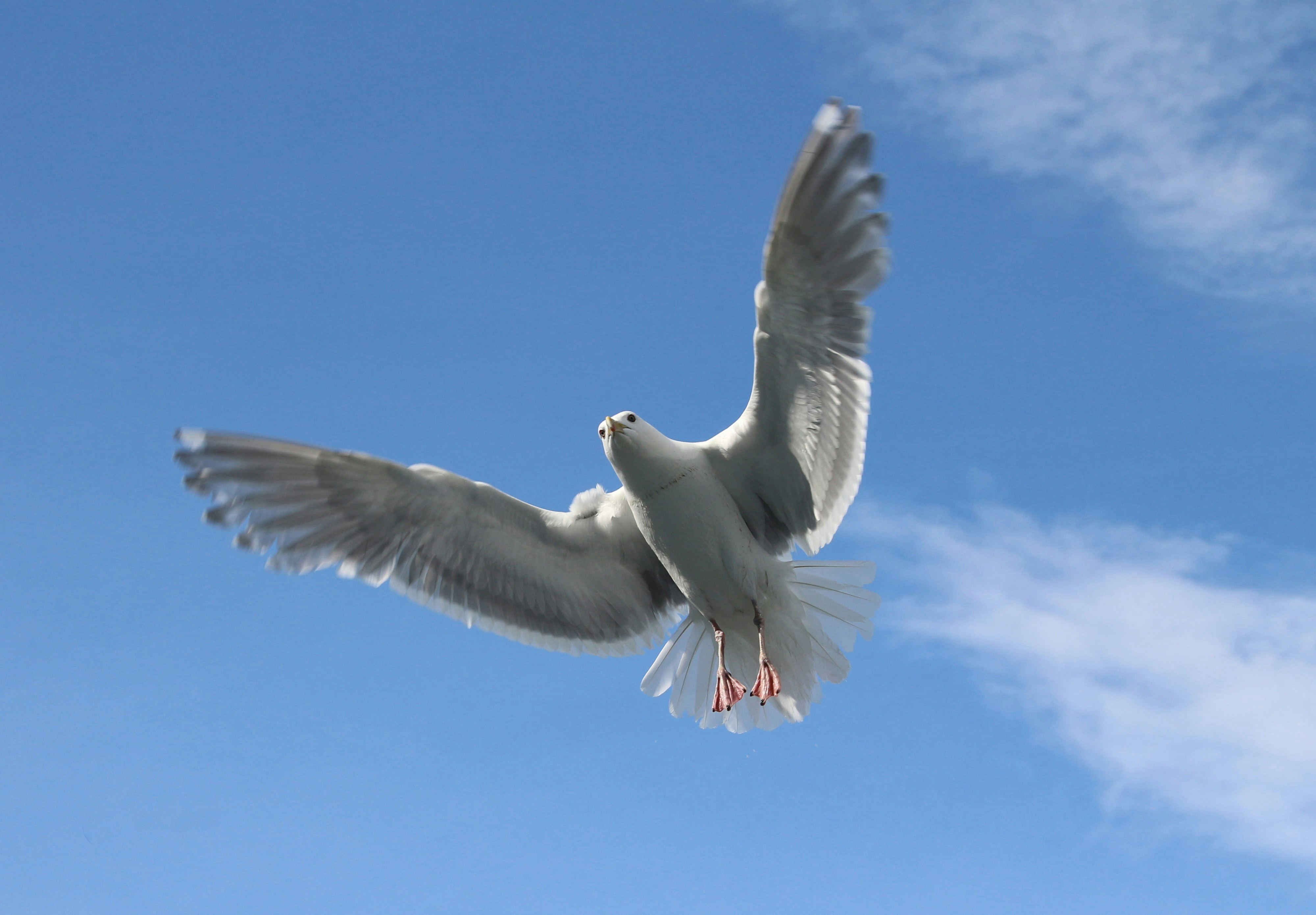 Photo by craazyquilt