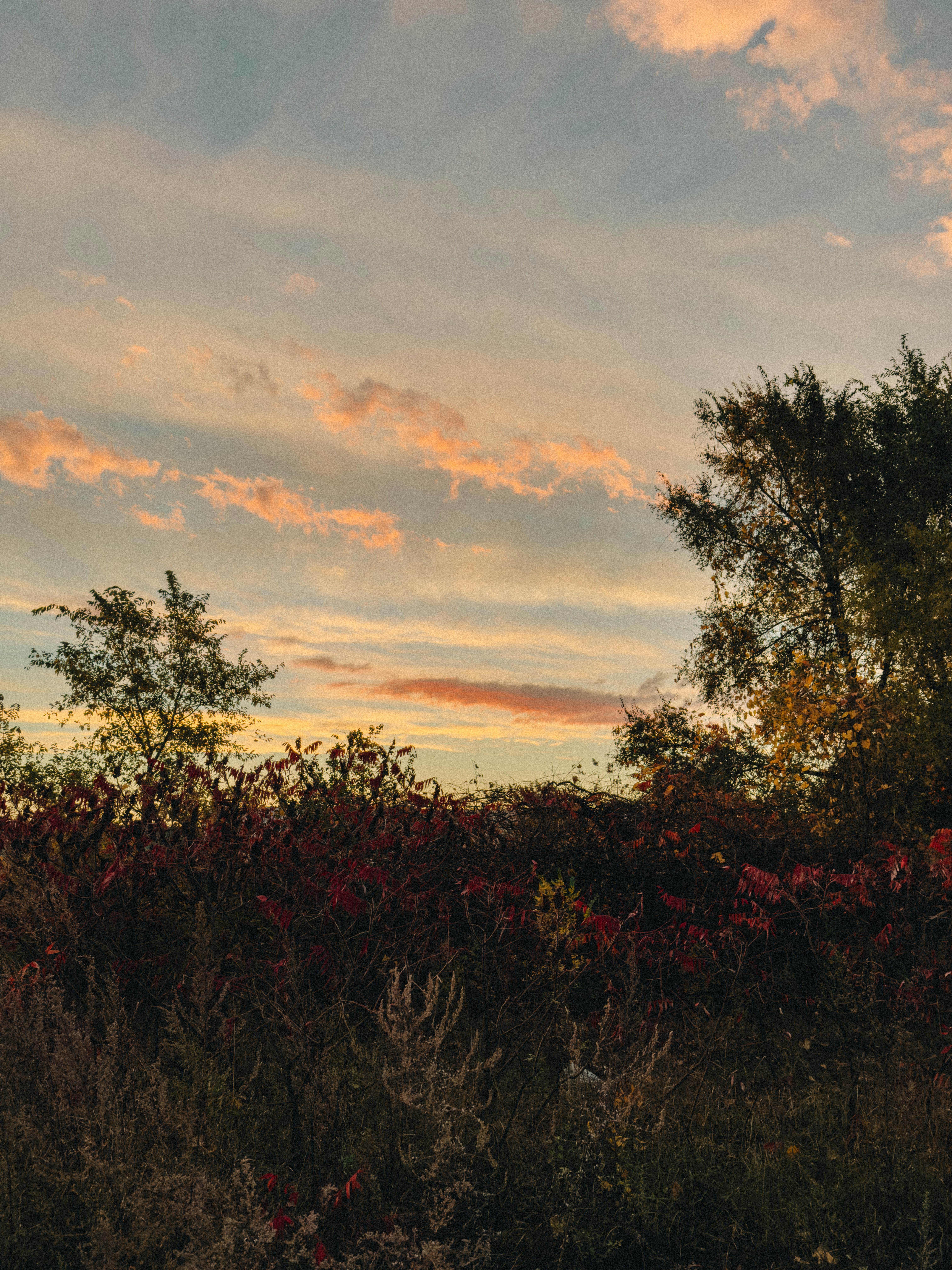 Photo by user90807060