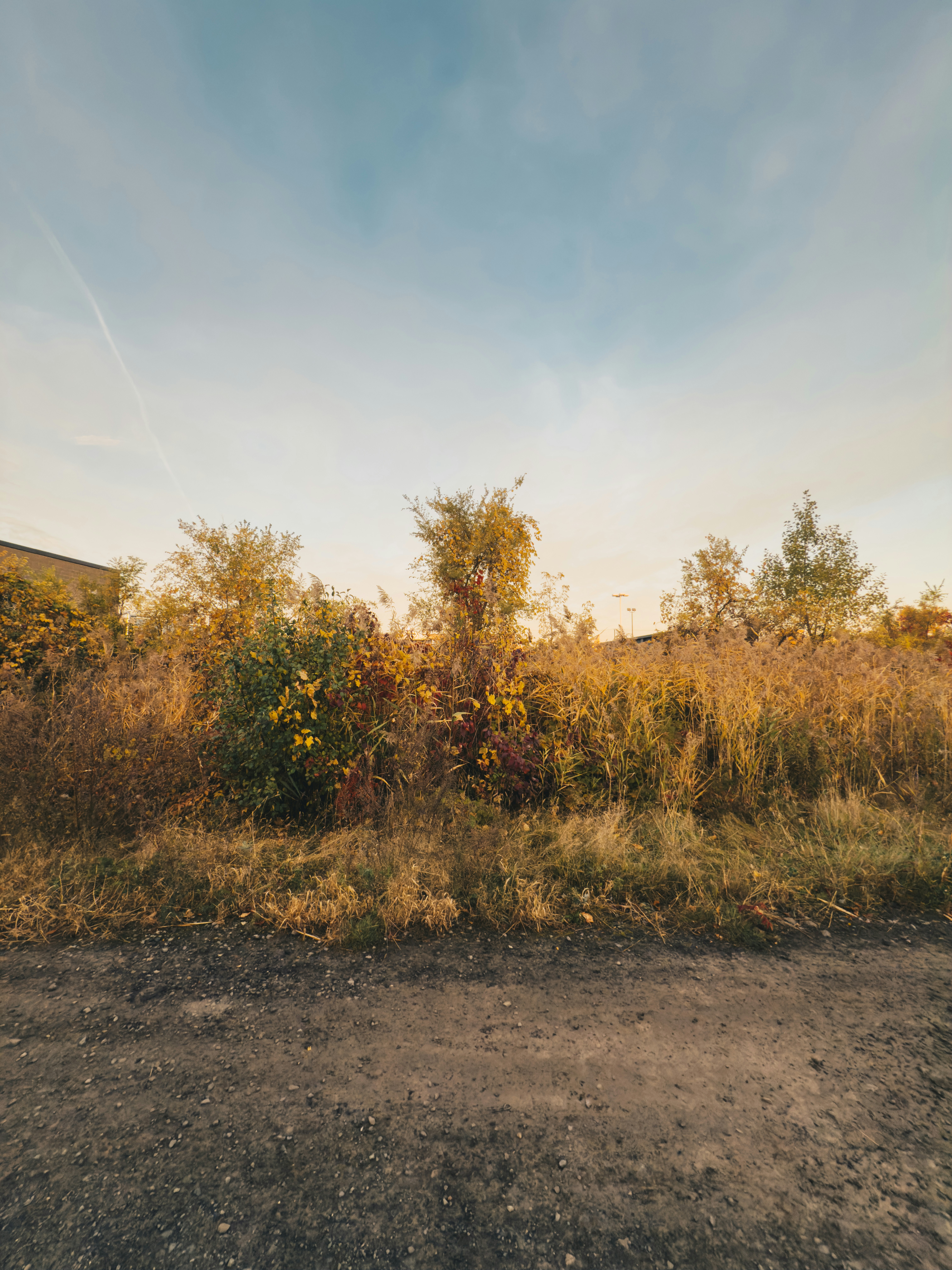 Photo by user90807060