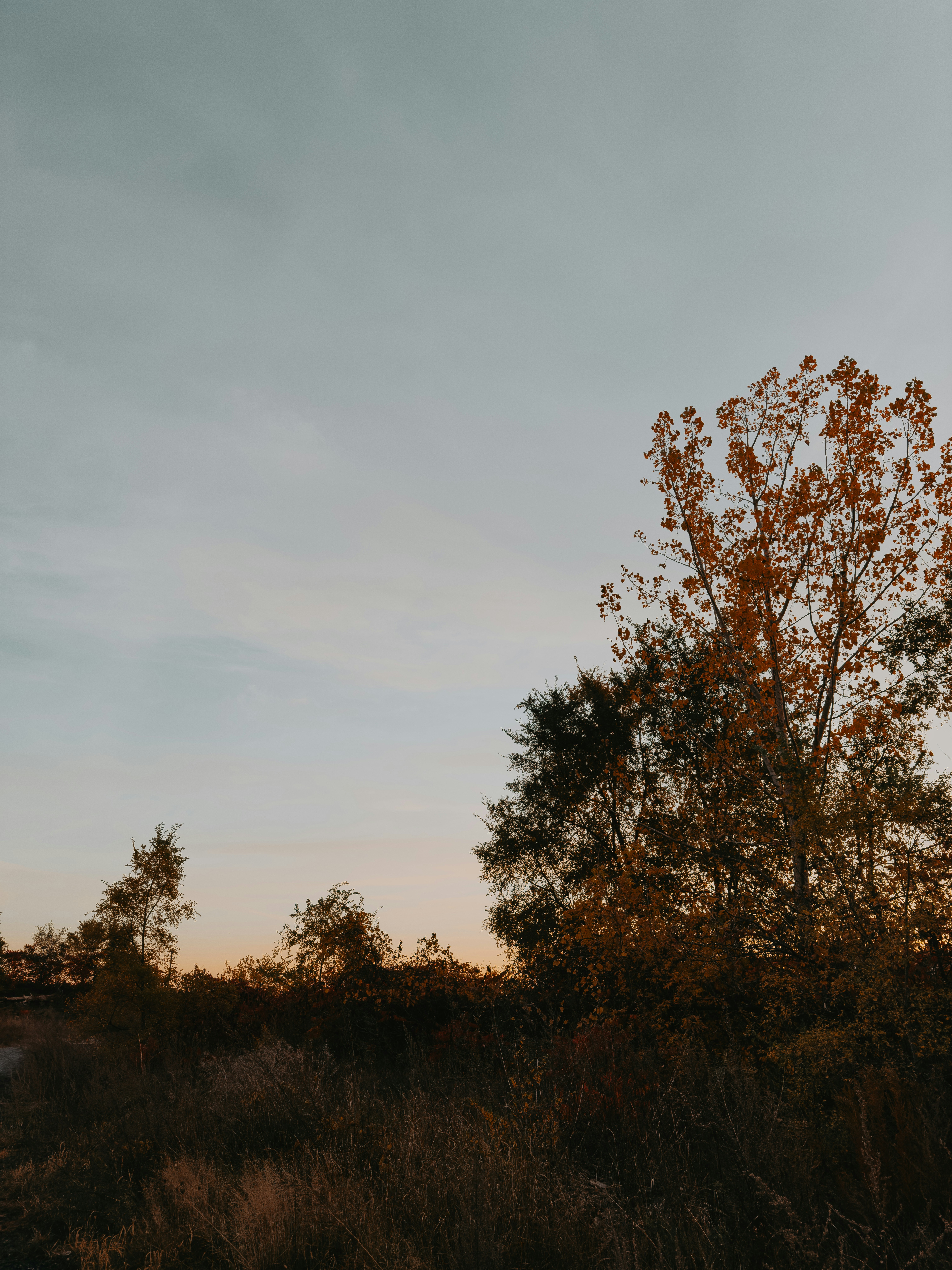 Photo by user90807060