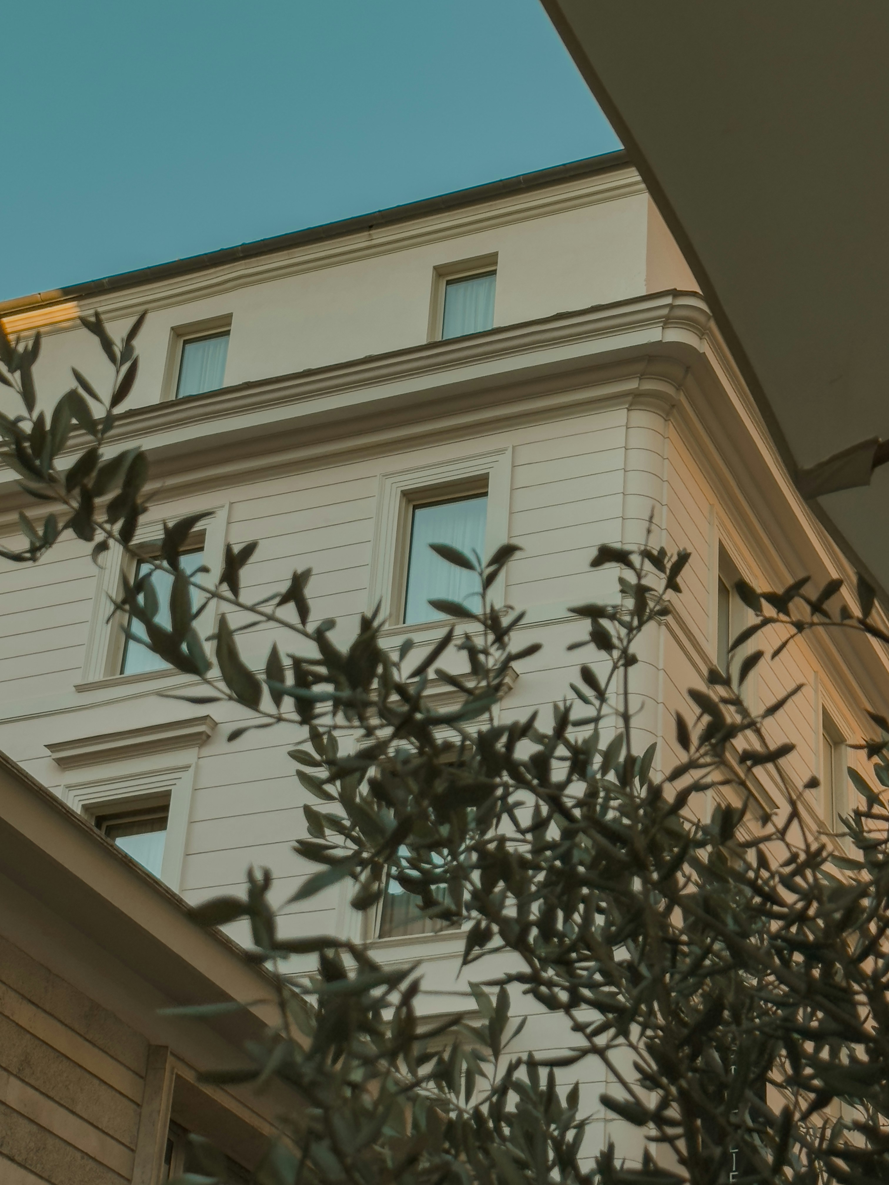 Photo by user90807060