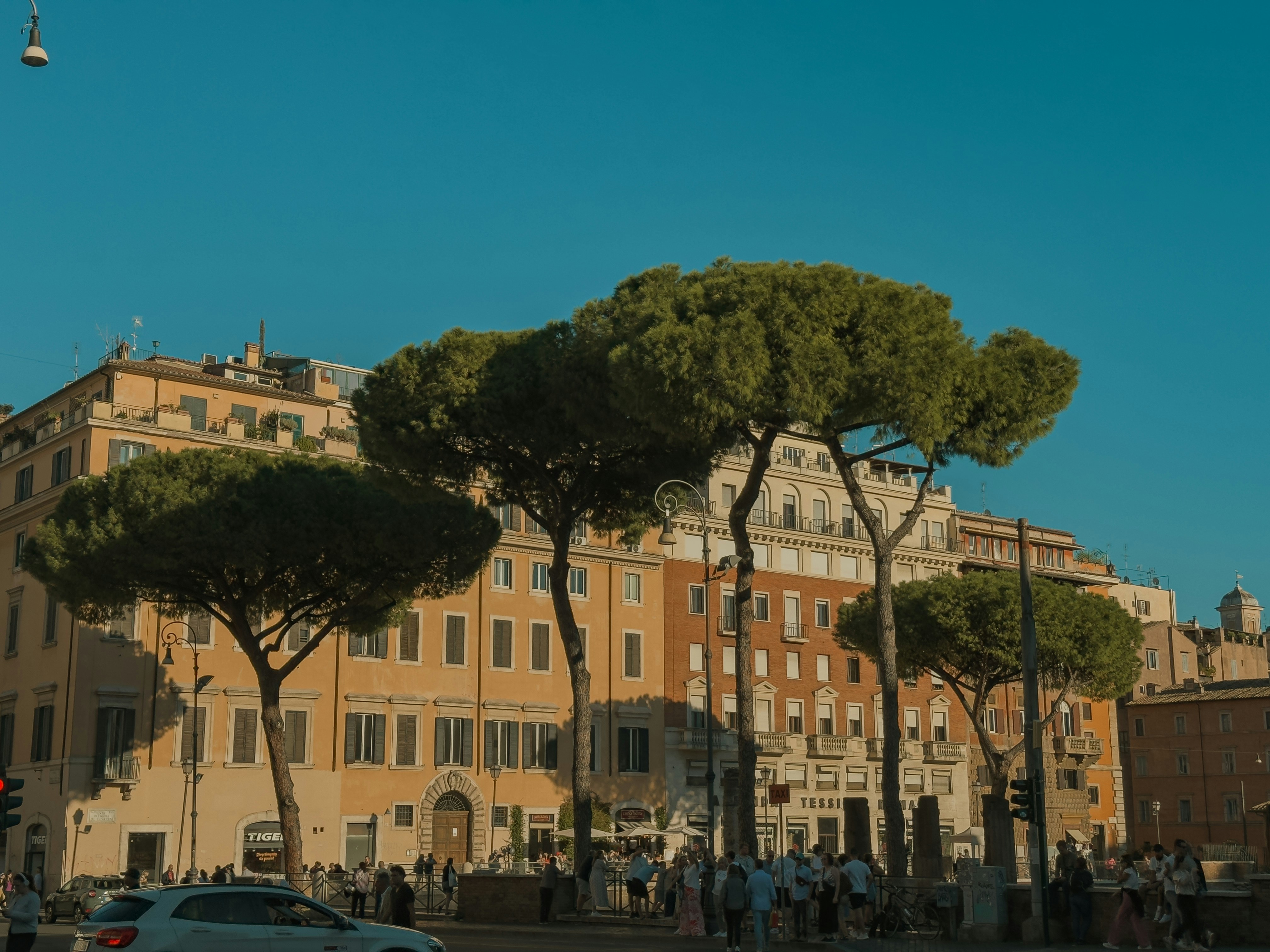 Photo by user90807060