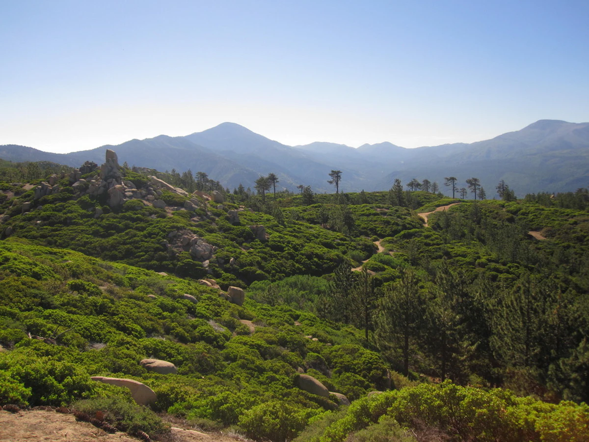 A dirt trail through chaparral and granite outcrops near Big Bear Lake, with blue ridges behind