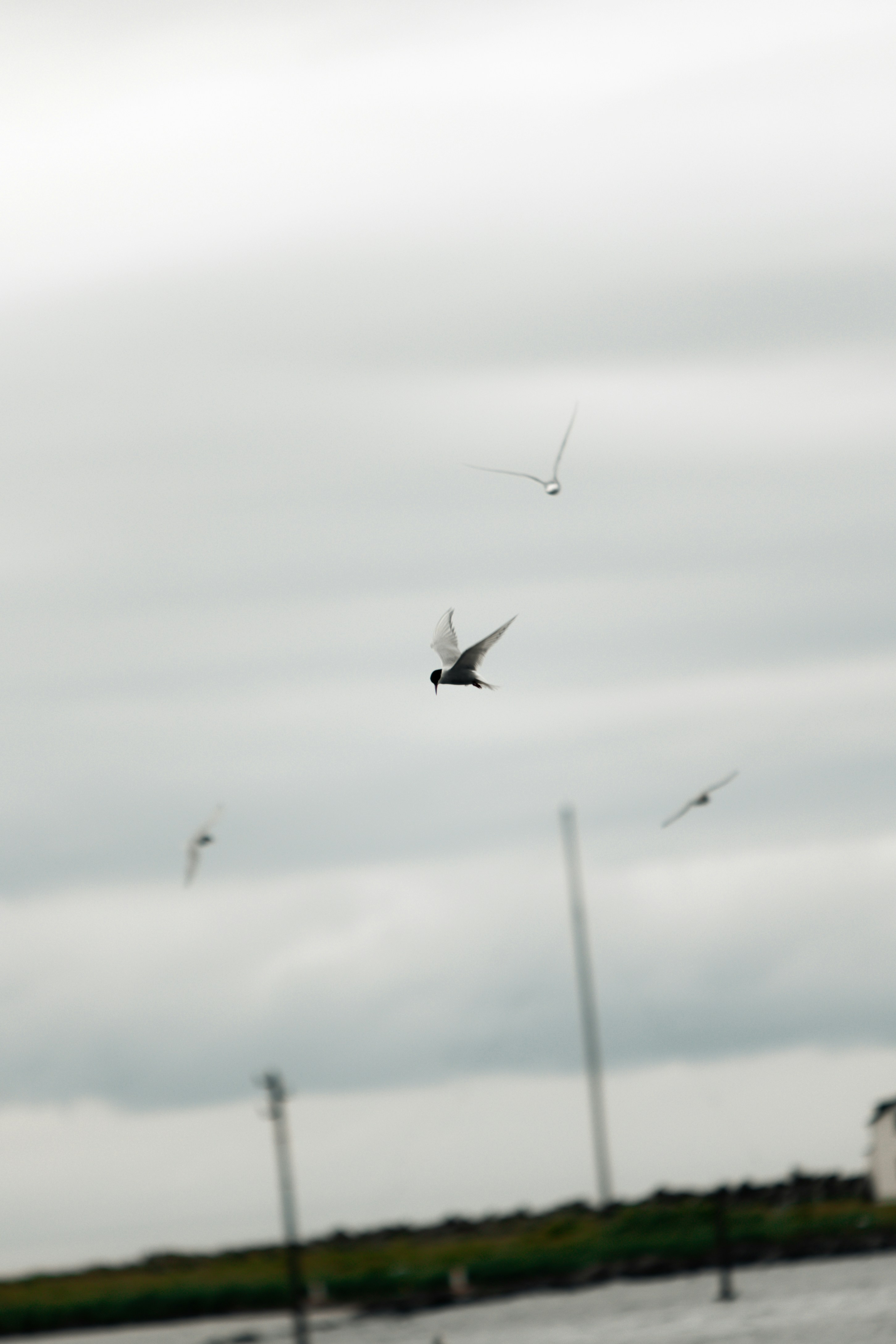 Photo by andrew_creative