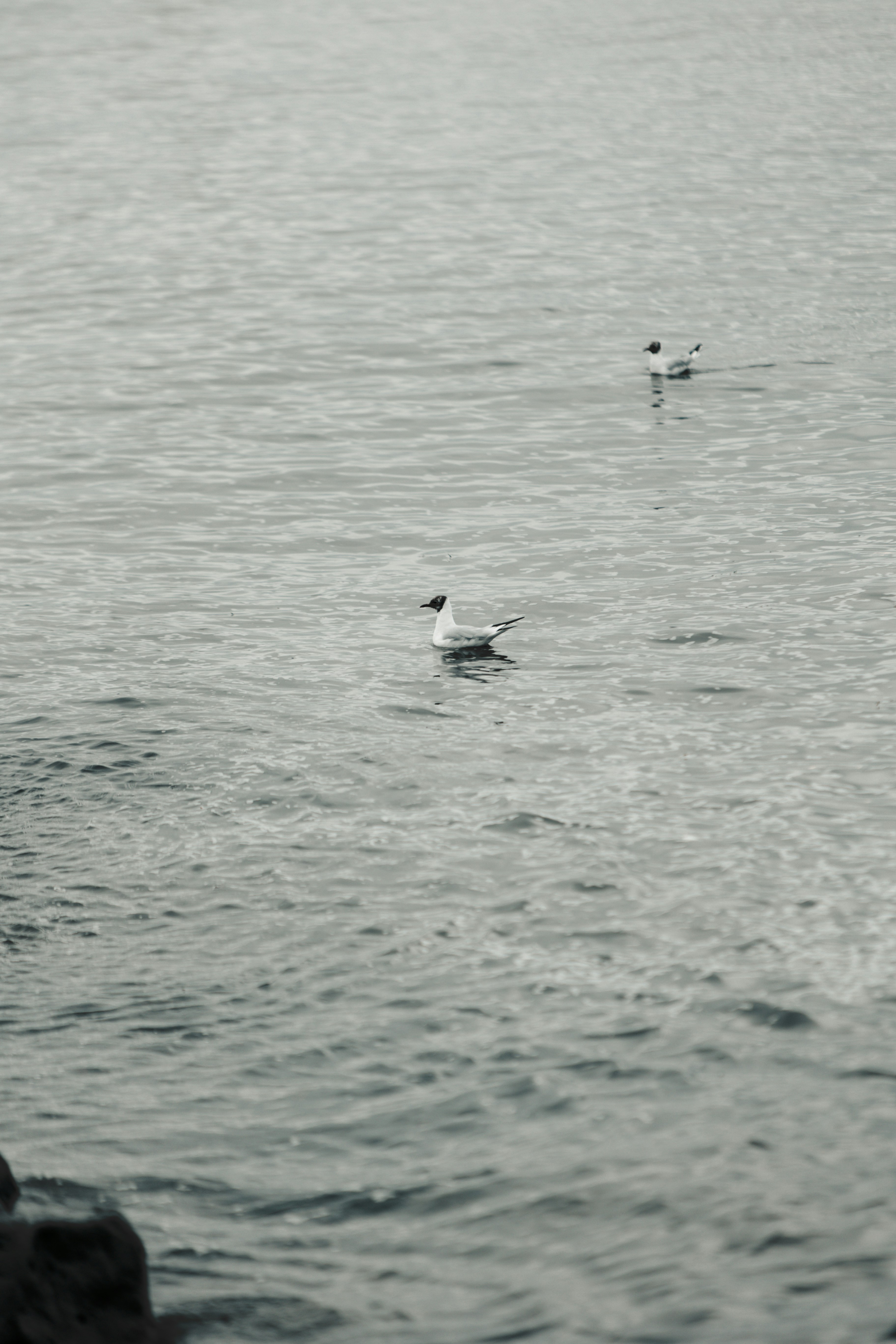 Photo by andrew_creative