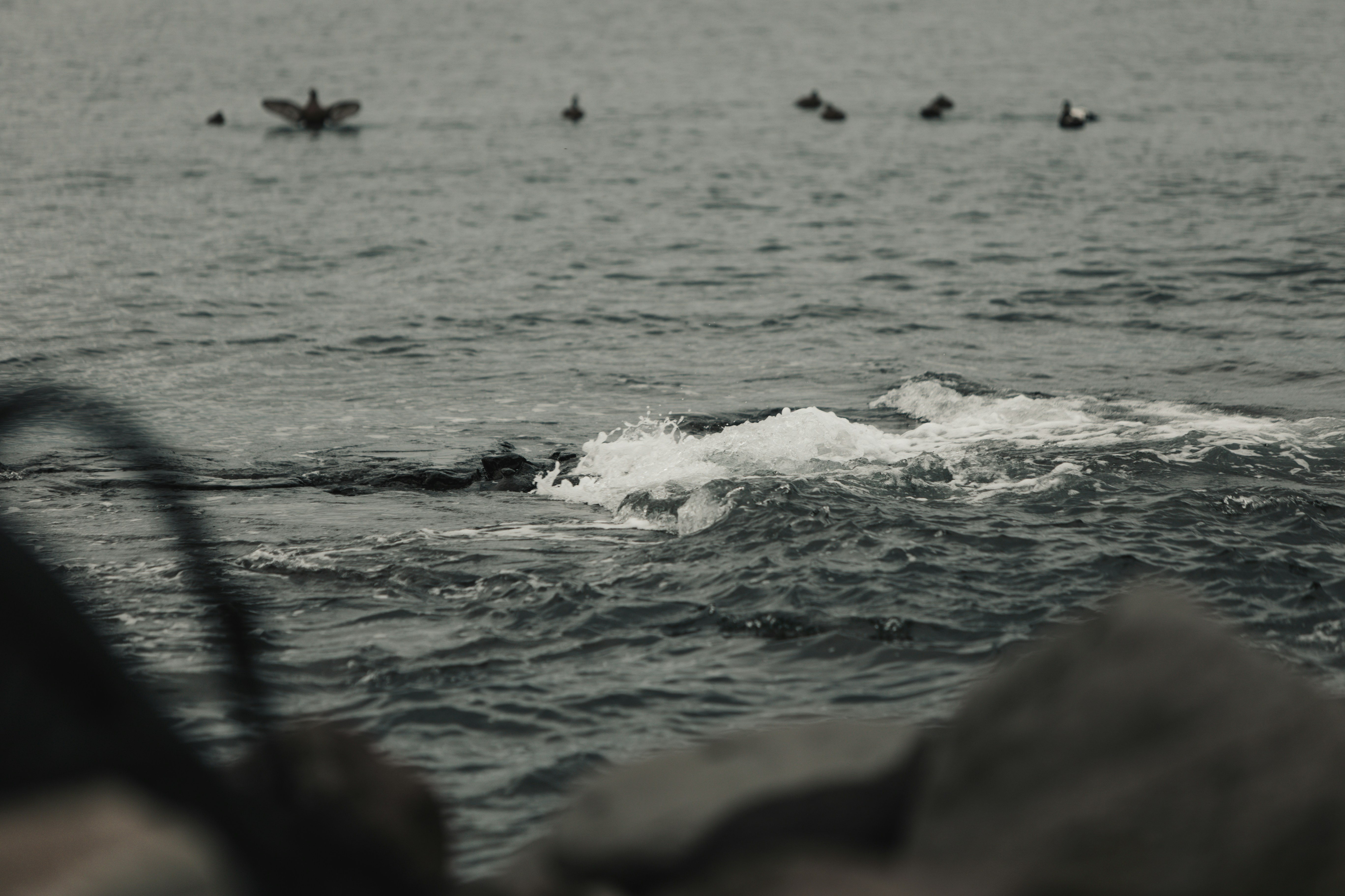 Photo by andrew_creative