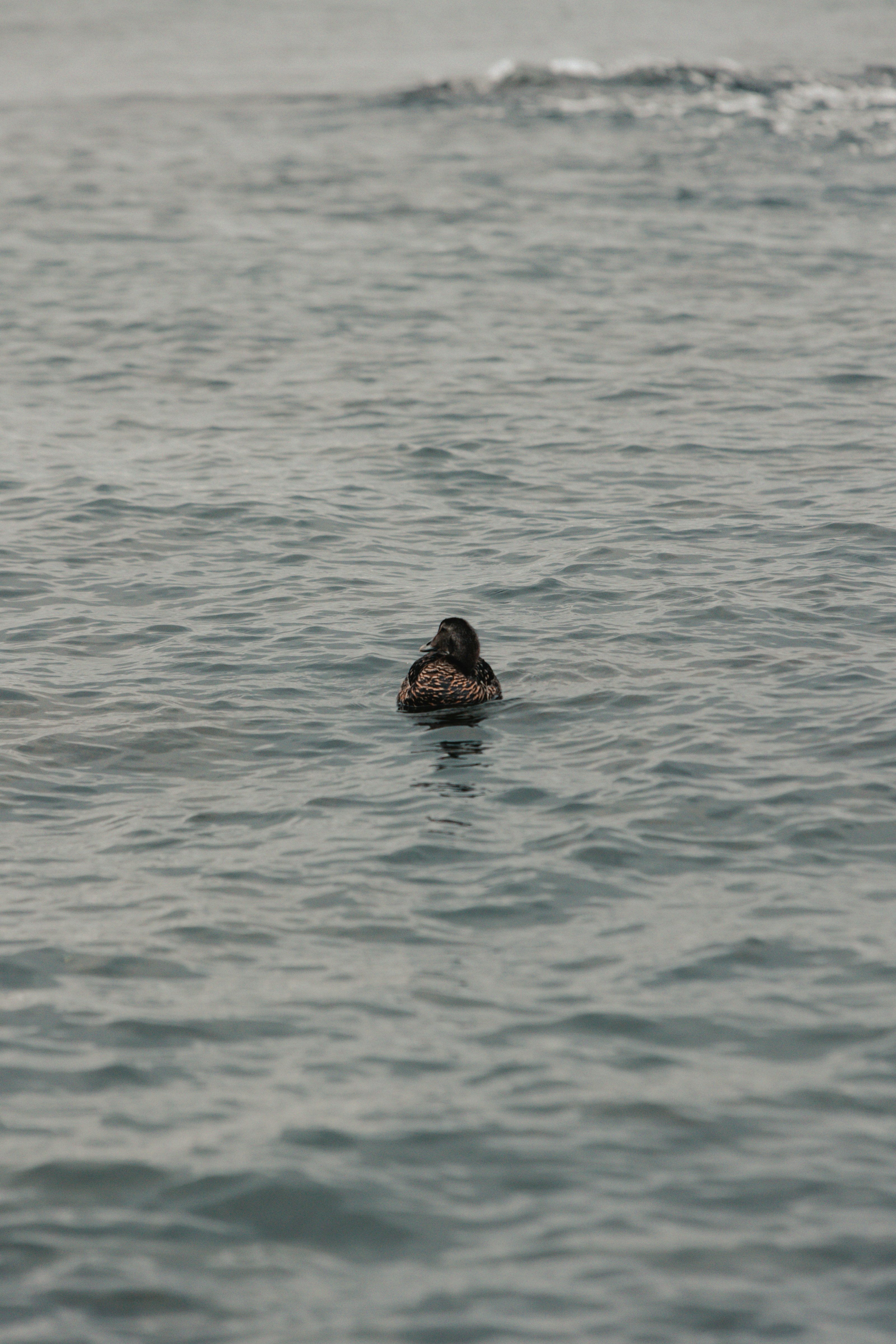 Photo by andrew_creative