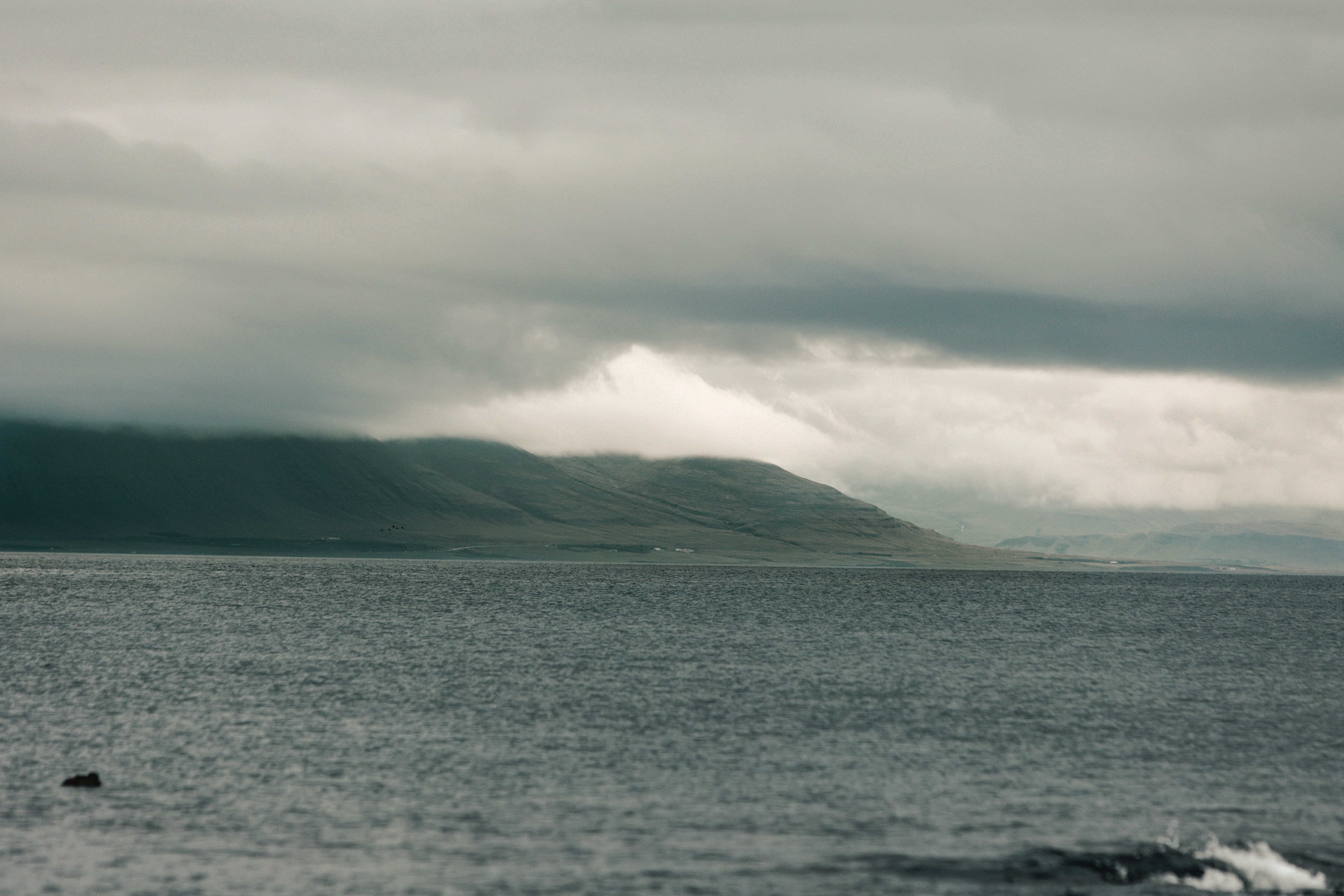 Photo by andrew_creative