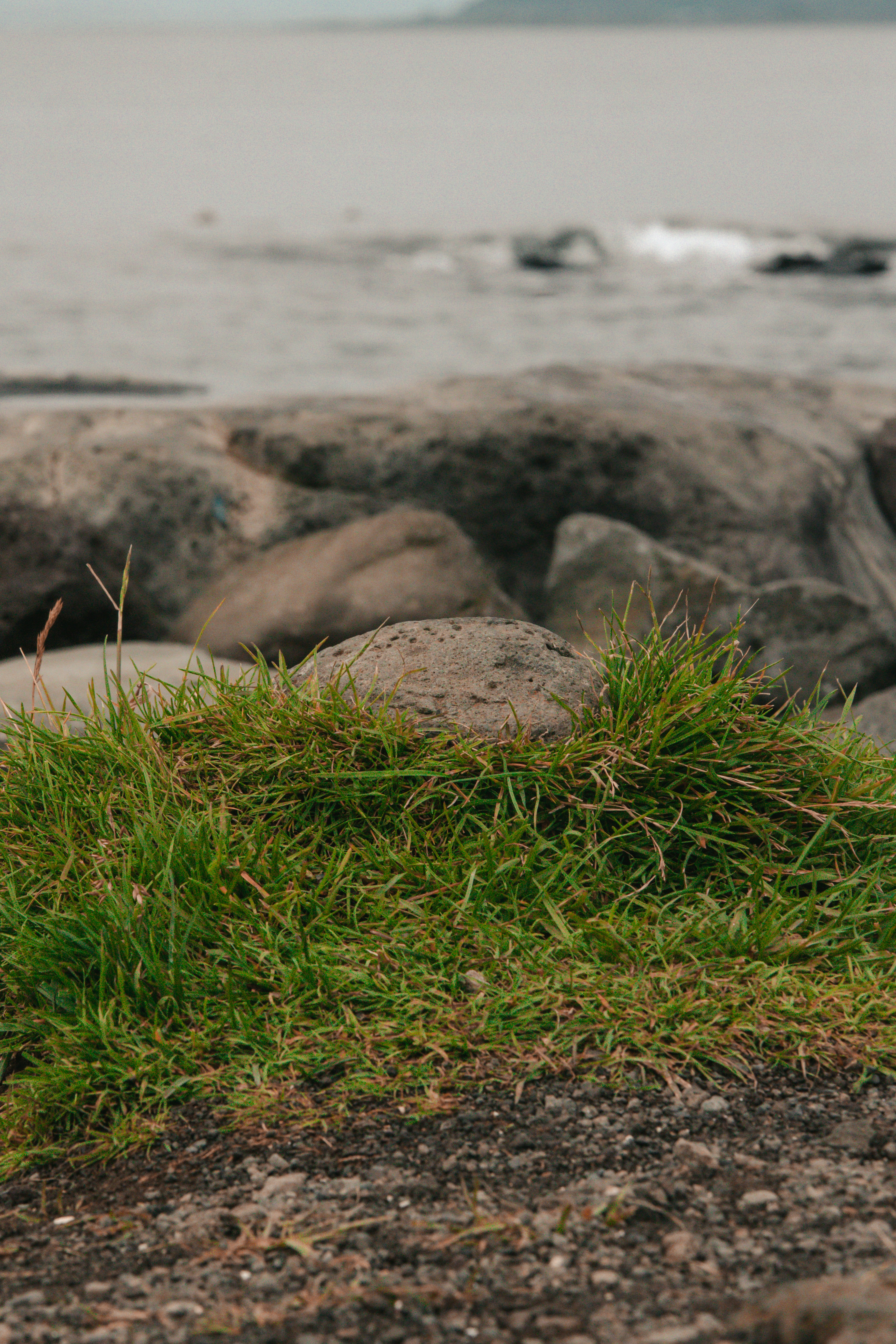 Photo by andrew_creative