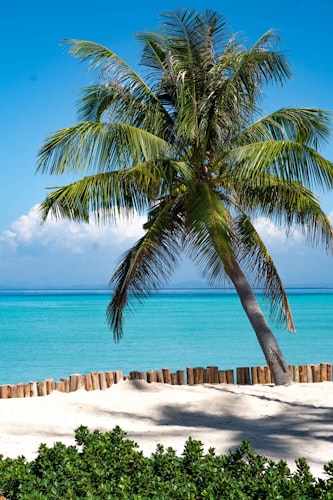 Grand View Bed & Breakfast resort