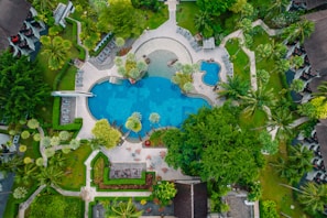 An aerial view of a pool surrounded by trees