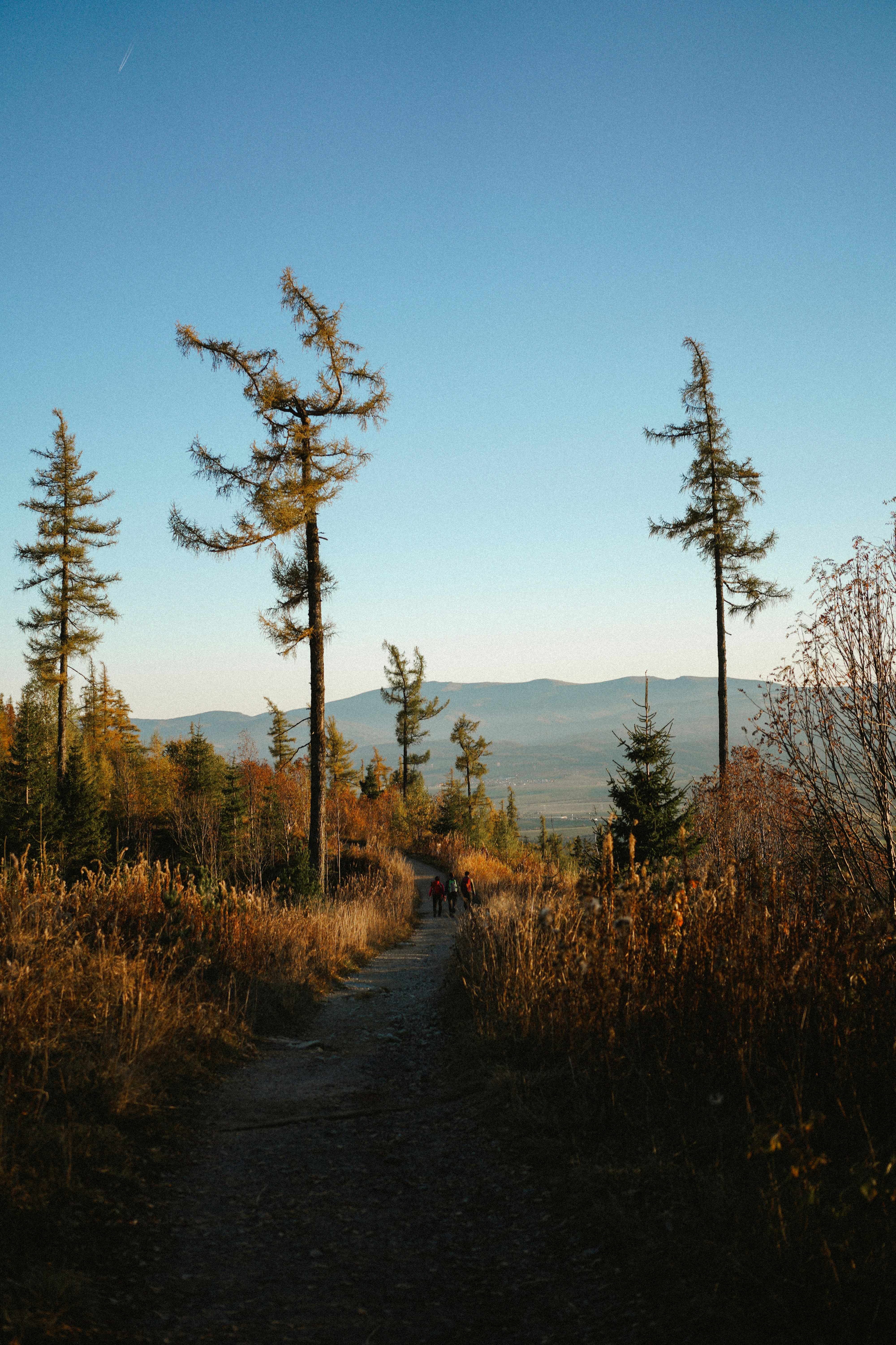 Photo by kateivanova__