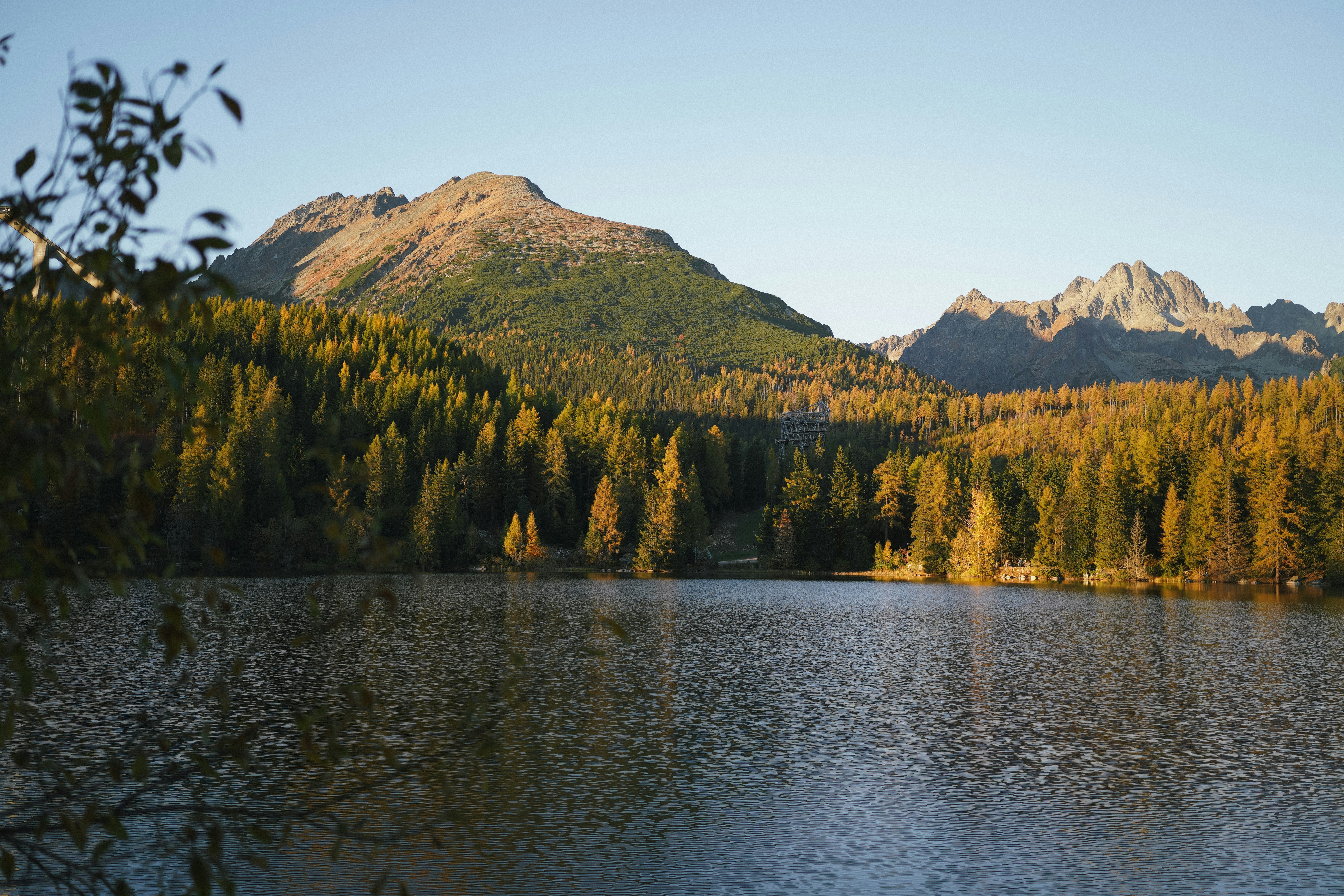 Photo by kateivanova__